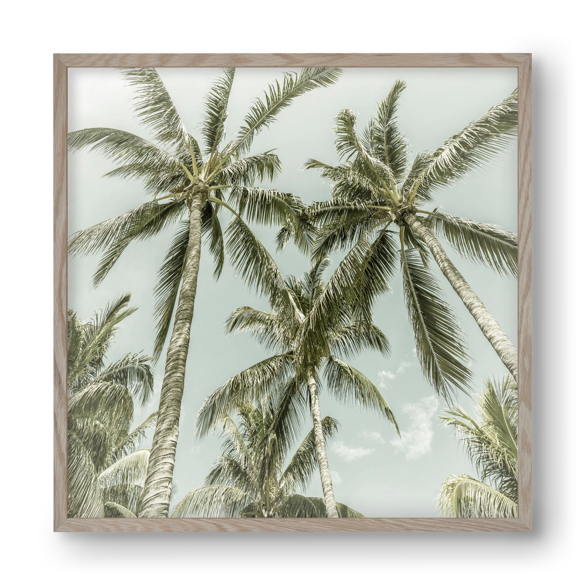 Lovely Palm Trees | Vintage, 40x40 cm (40x40 cm), Tölgy keret