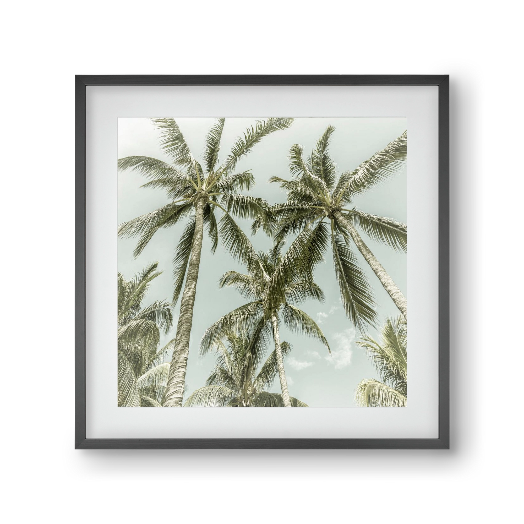 Lovely Palm Trees | Vintage, 30x30 cm (20x20 cm), Fekete keret, paszpartuval