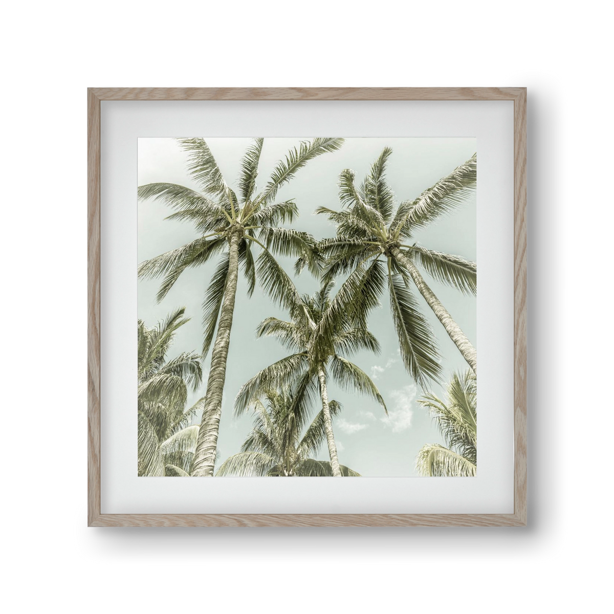 Lovely Palm Trees | Vintage, 30x30 cm (20x20 cm), Tölgy keret, paszpartuval
