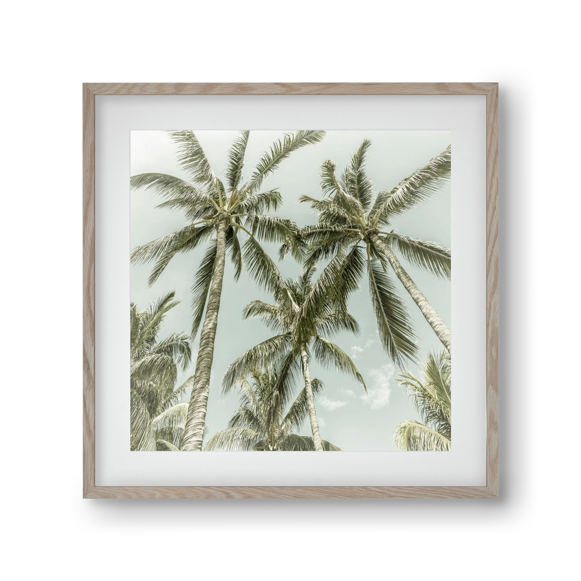 Lovely Palm Trees | Vintage, 30x30 cm (20x20 cm), Tölgy keret, paszpartuval