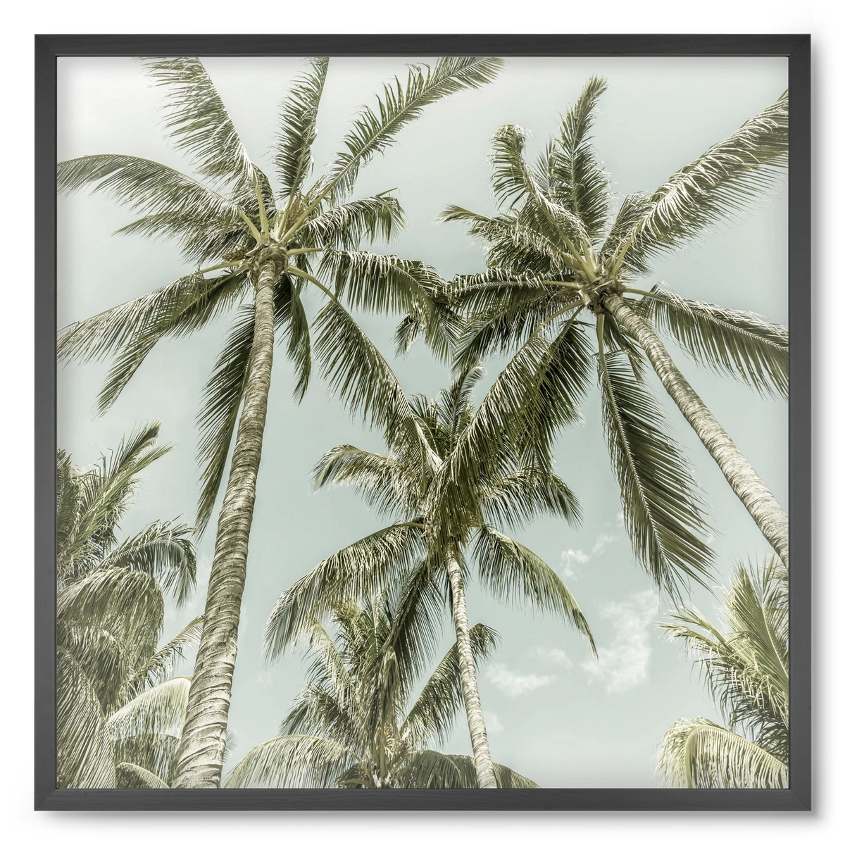 Lovely Palm Trees | Vintage, 50x50 cm (50x50 cm), Fekete keret