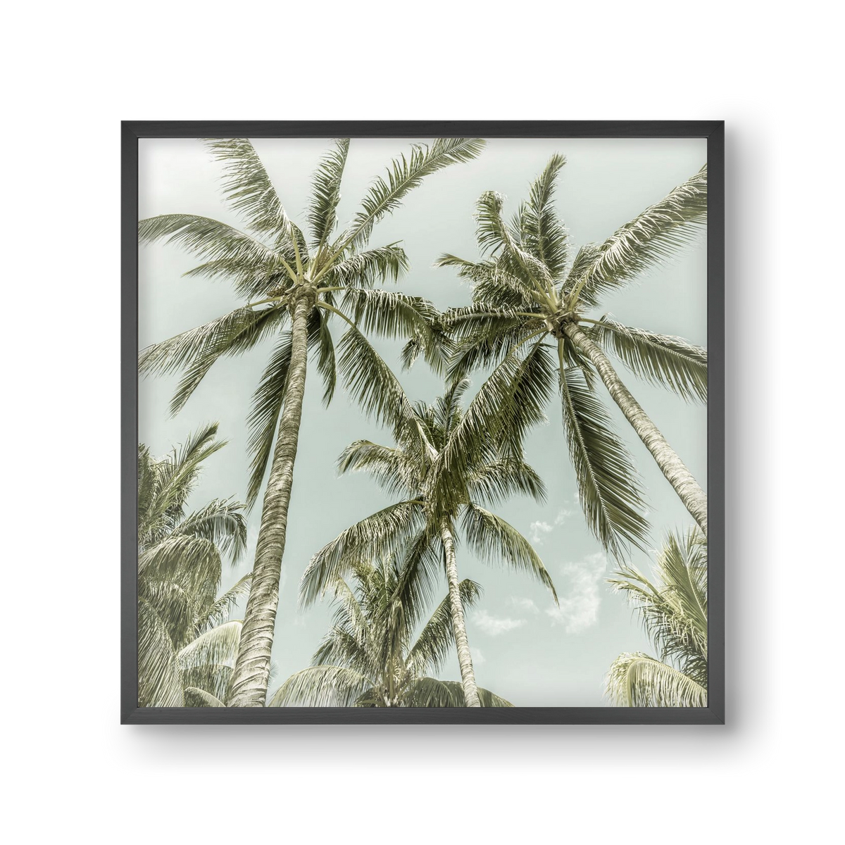 Lovely Palm Trees | Vintage, 30x30 cm (30x30 cm), Fekete keret