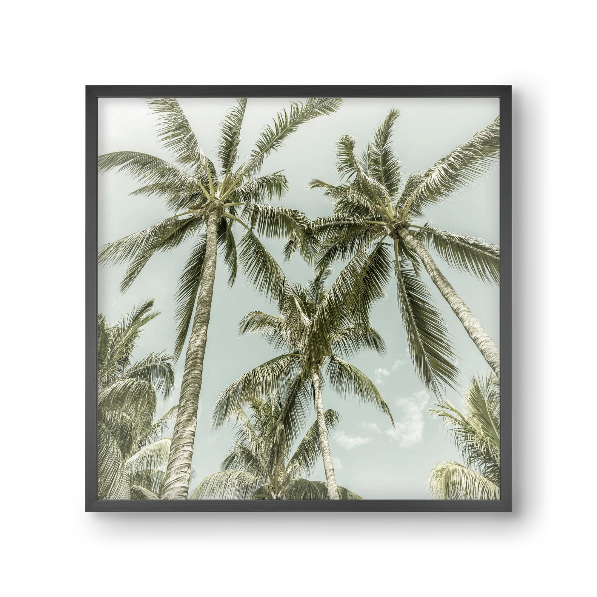 Lovely Palm Trees | Vintage, 30x30 cm (30x30 cm), Fekete keret