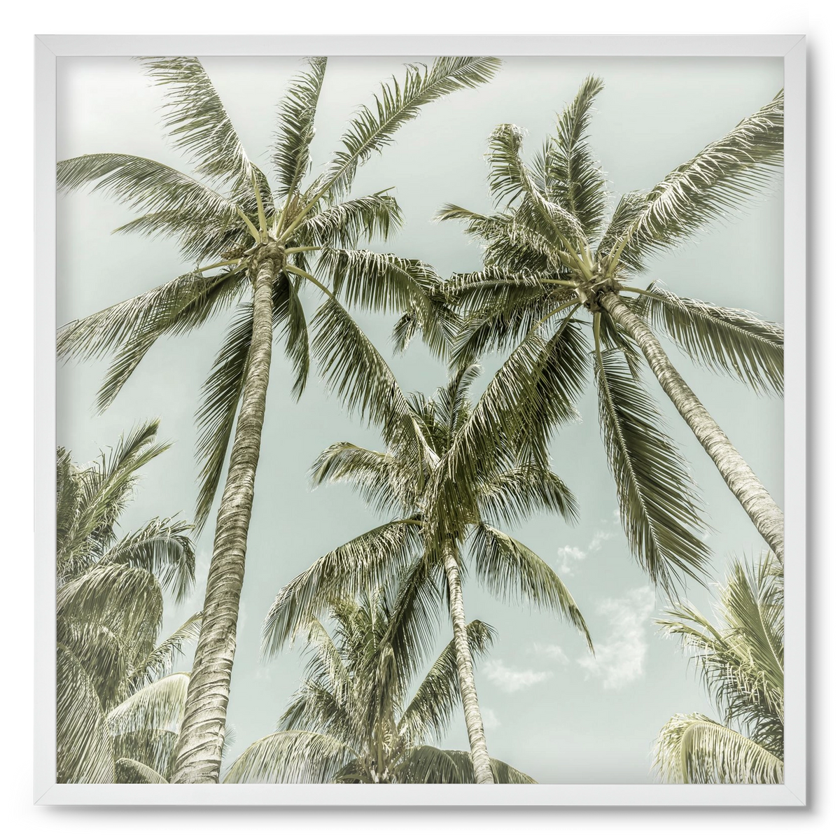 Lovely Palm Trees | Vintage, 50x50 cm (50x50 cm), Fehér keret