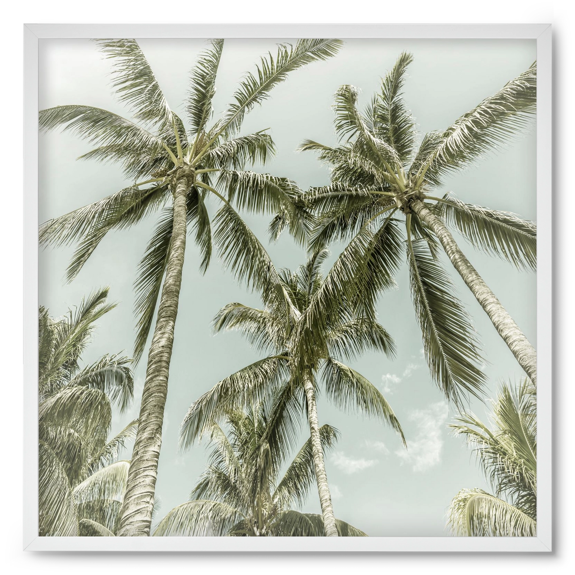 Lovely Palm Trees | Vintage, 50x50 cm (50x50 cm), Fehér keret