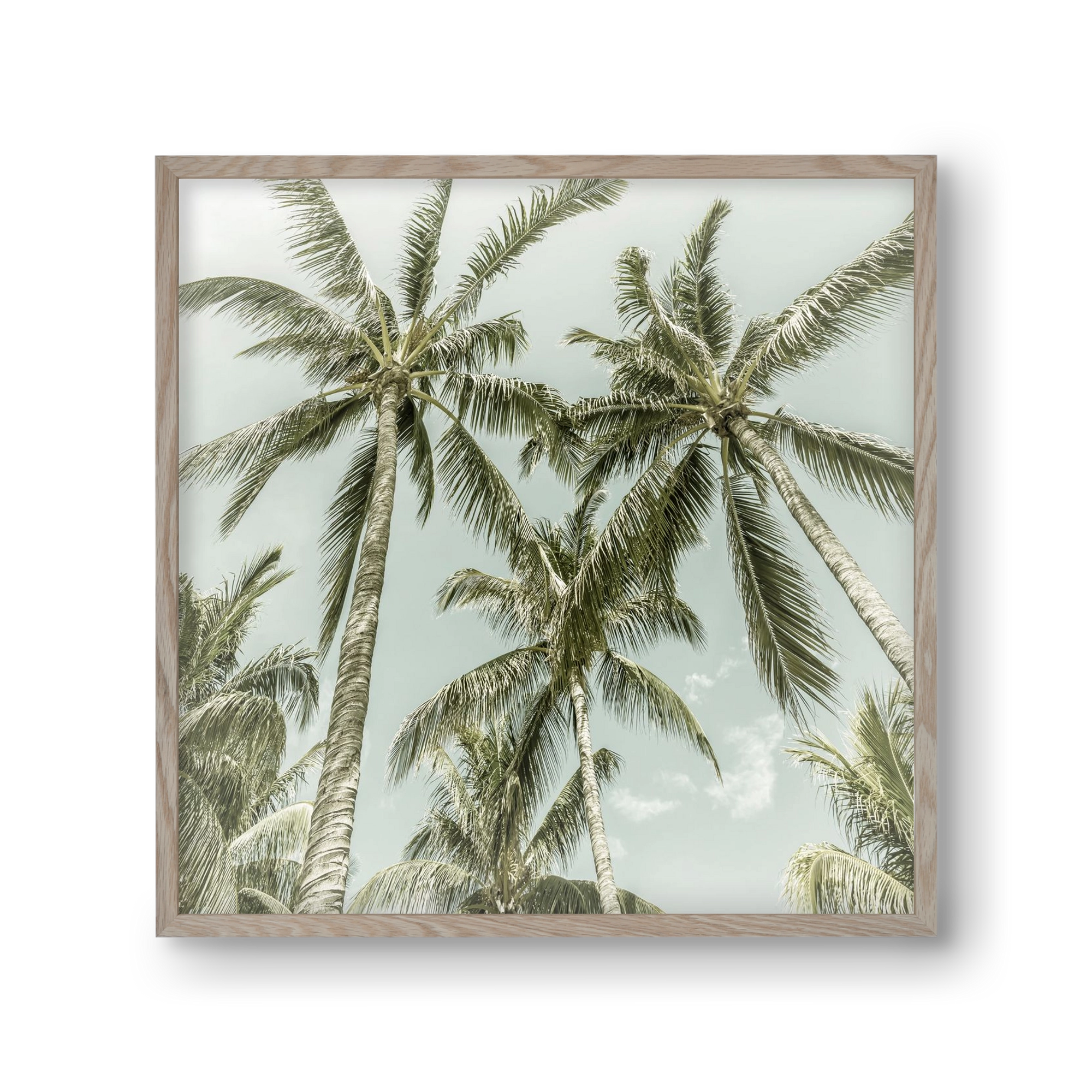 Lovely Palm Trees | Vintage, 30x30 cm (30x30 cm), Tölgy keret