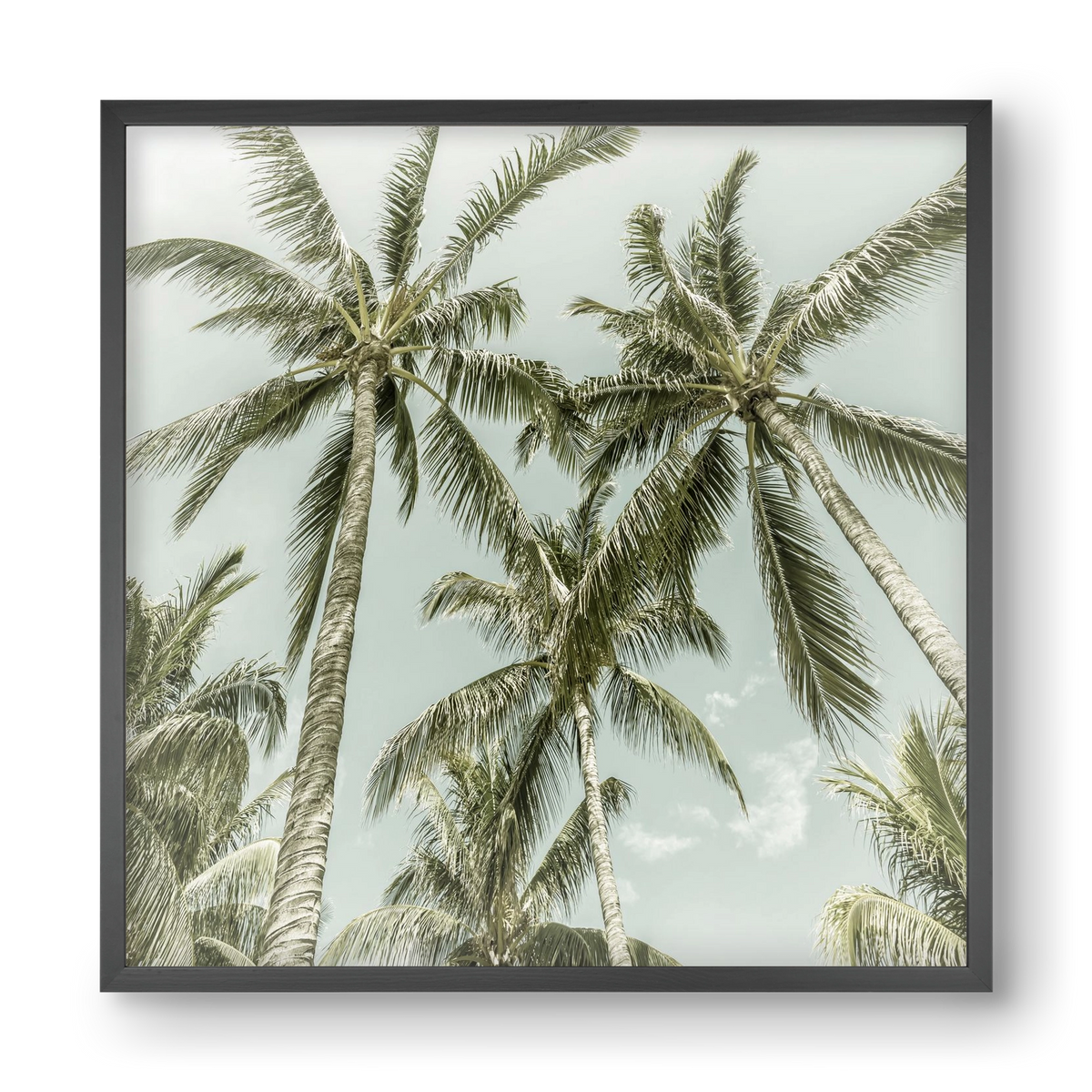 Lovely Palm Trees | Vintage, 40x40 cm (40x40 cm), Fekete keret