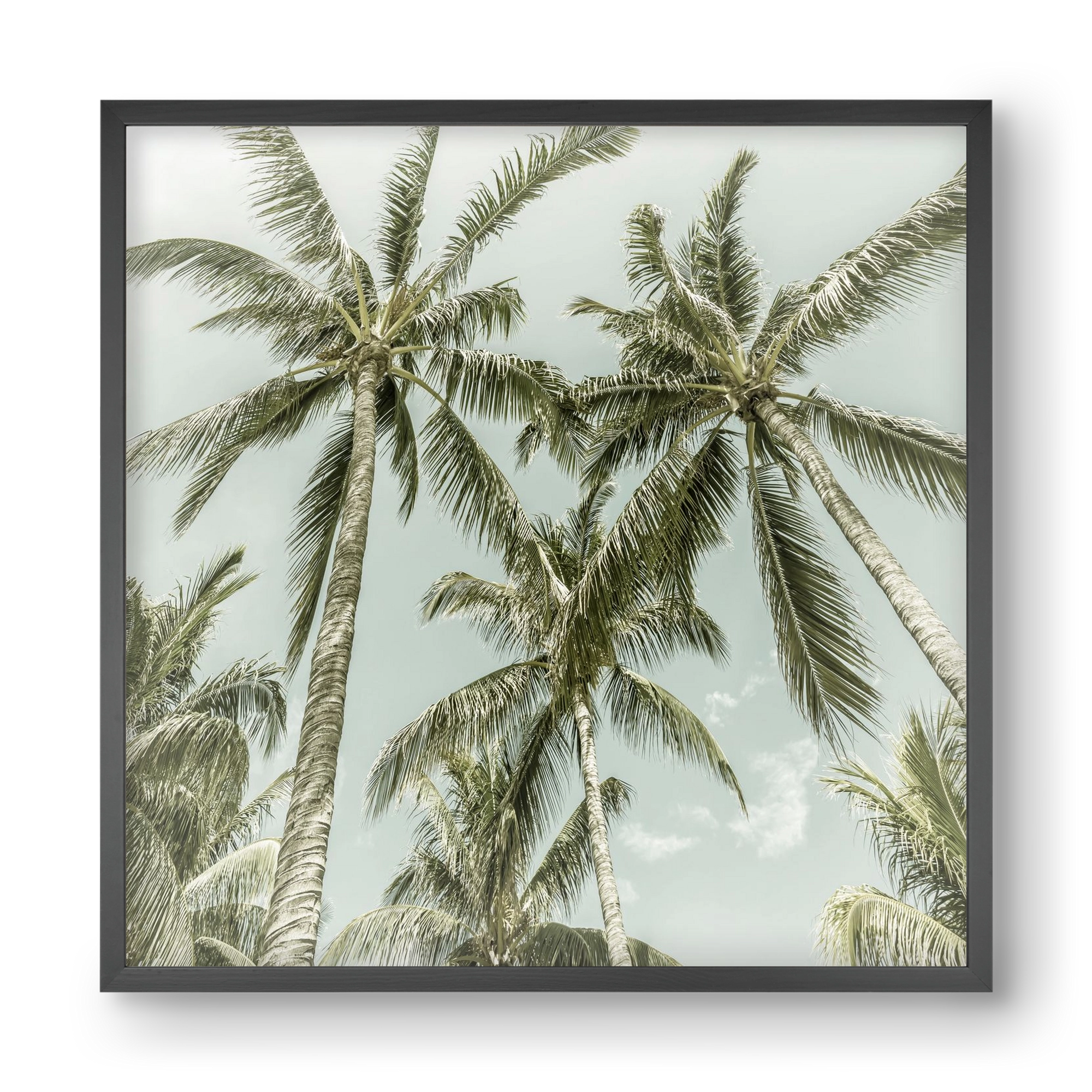 Lovely Palm Trees | Vintage, 40x40 cm (40x40 cm), Fekete keret