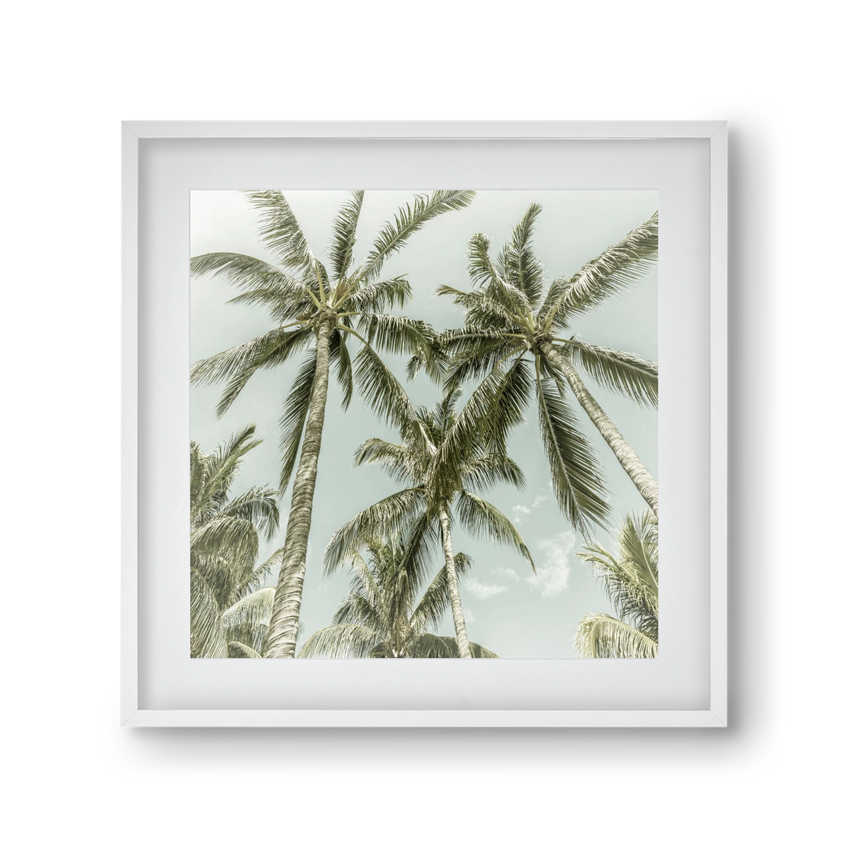 Lovely Palm Trees | Vintage, 30x30 cm (20x20 cm), Fehér keret, paszpartuval
