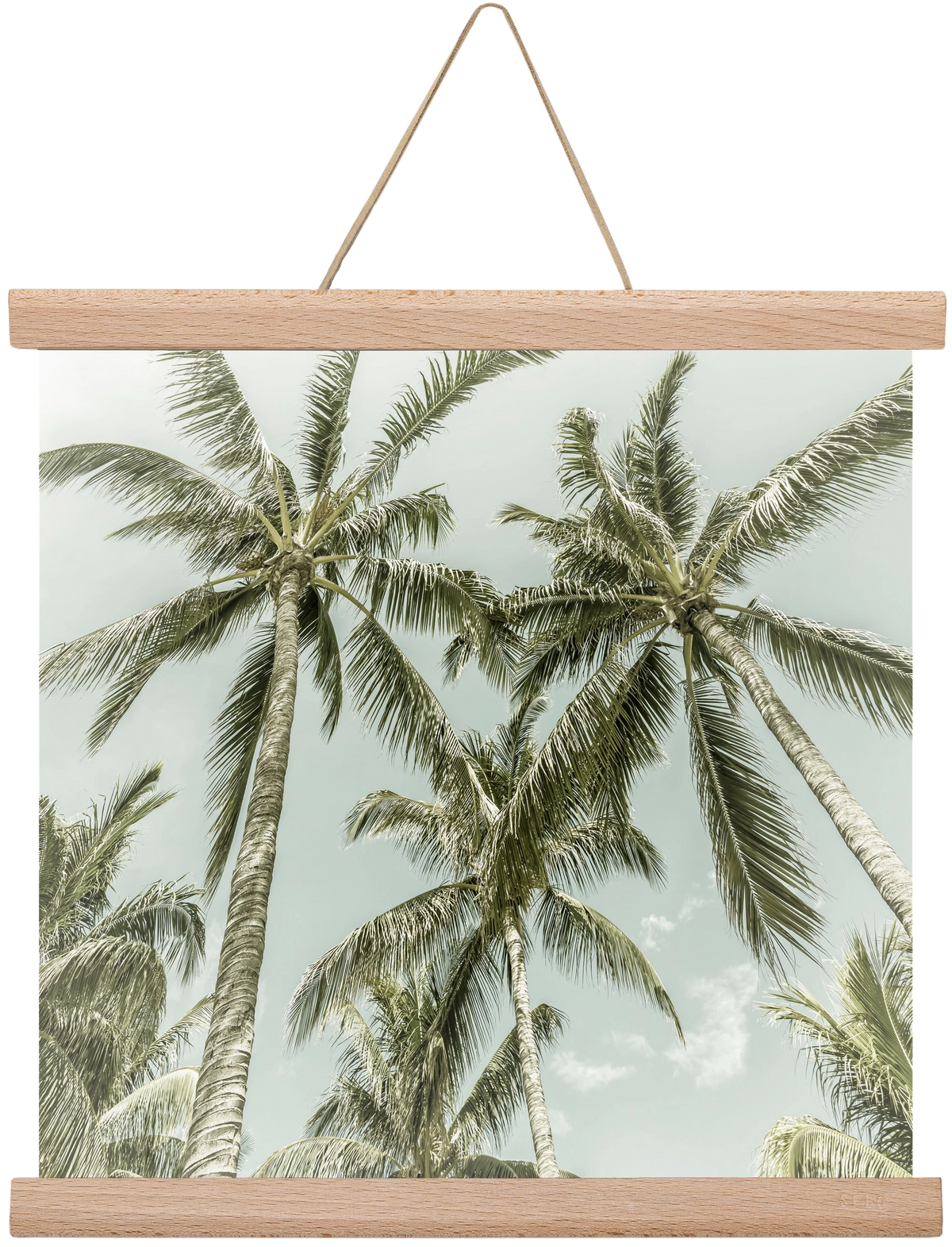 Lovely Palm Trees | Vintage, 30x30 cm (30x30 cm), Tölgy akasztó