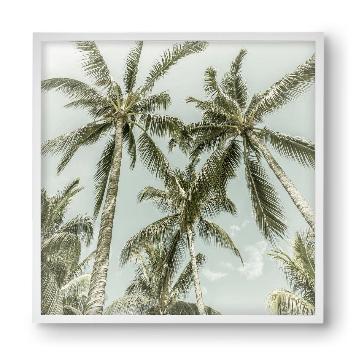 Lovely Palm Trees | Vintage, 40x40 cm (40x40 cm), Fehér keret