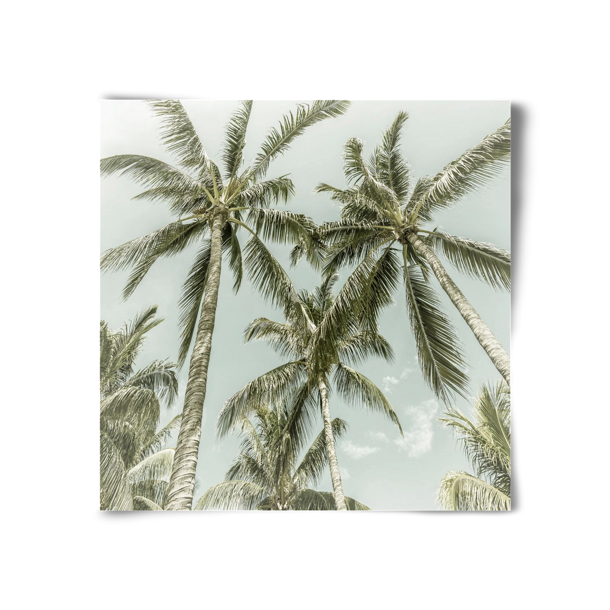 Lovely Palm Trees | Vintage, 30x30 cm, Keret nélkül
