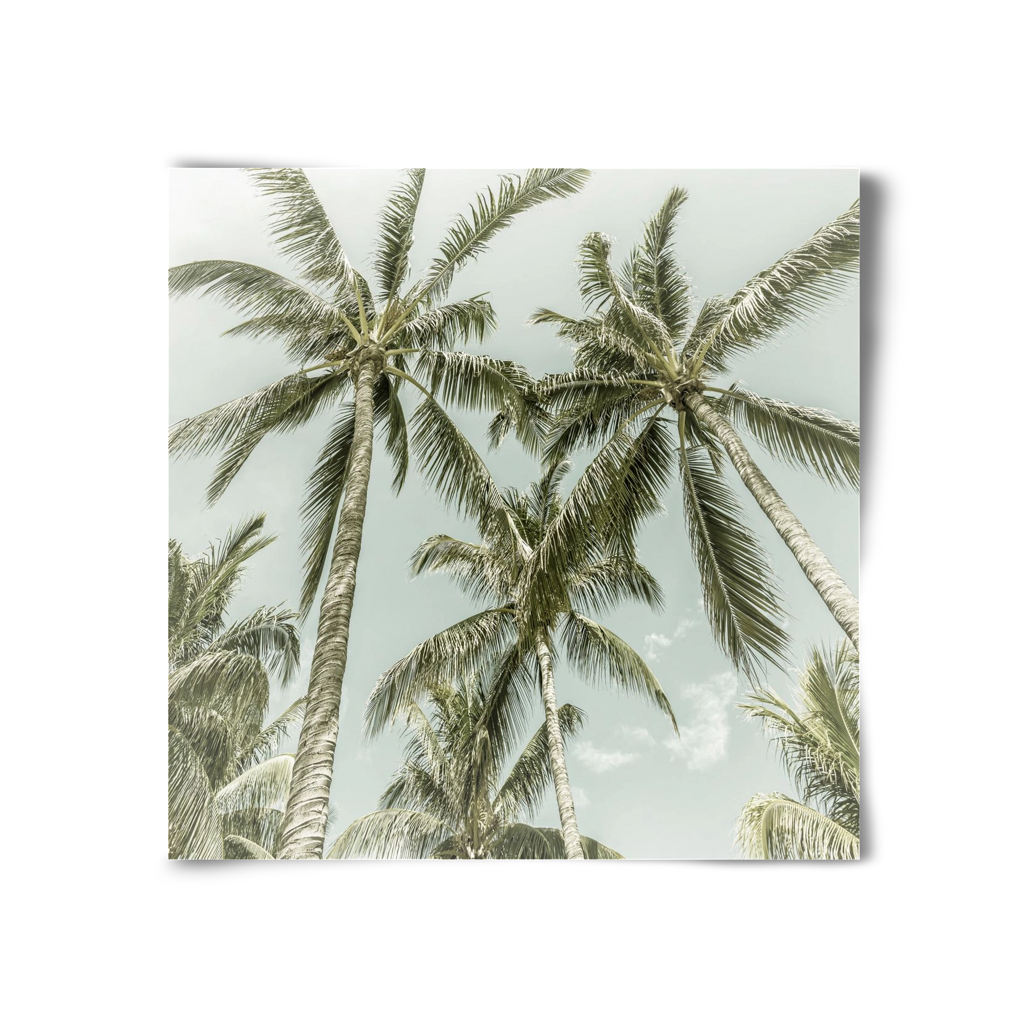 Lovely Palm Trees | Vintage, 30x30 cm, Keret nélkül