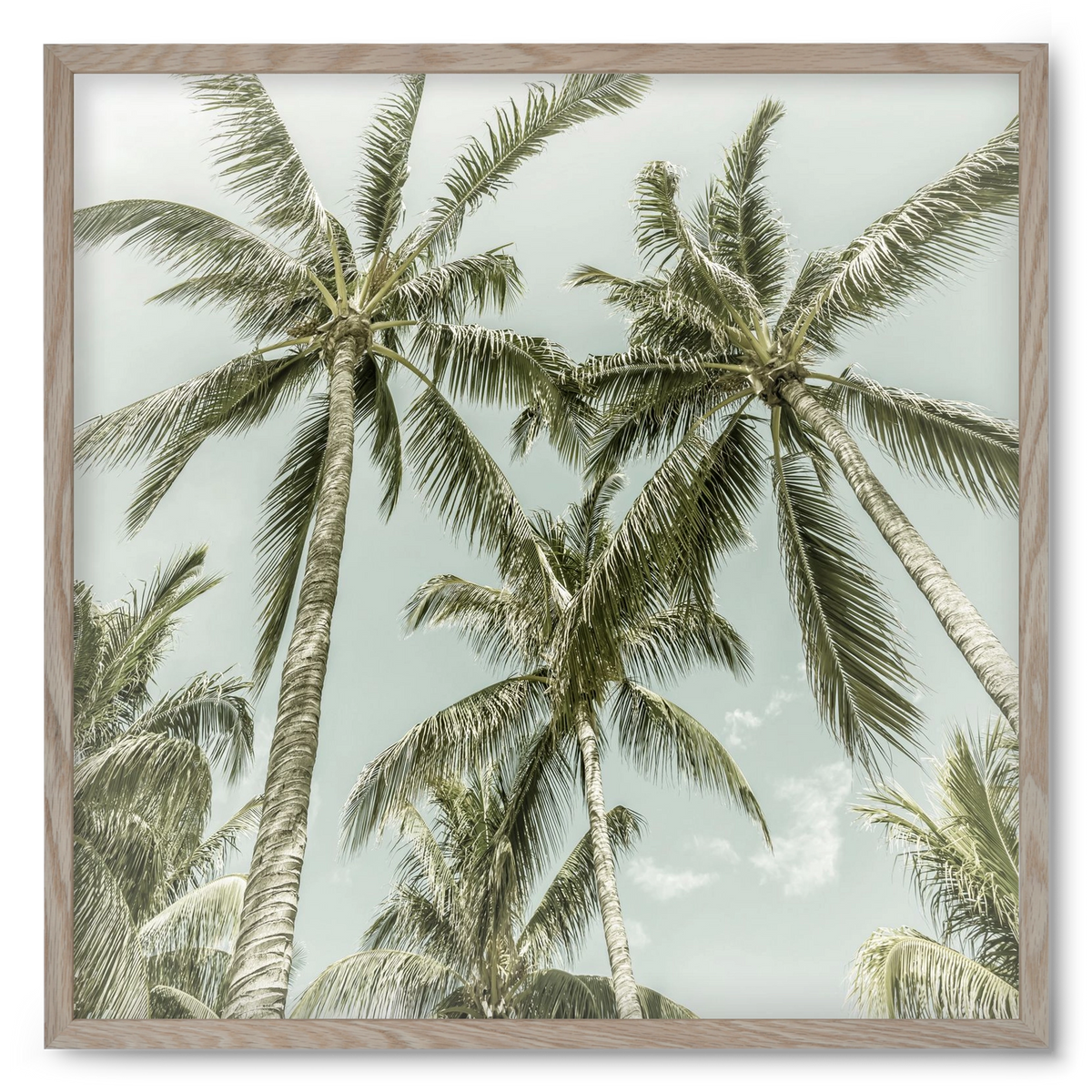 Lovely Palm Trees | Vintage, 50x50 cm (50x50 cm), Tölgy keret
