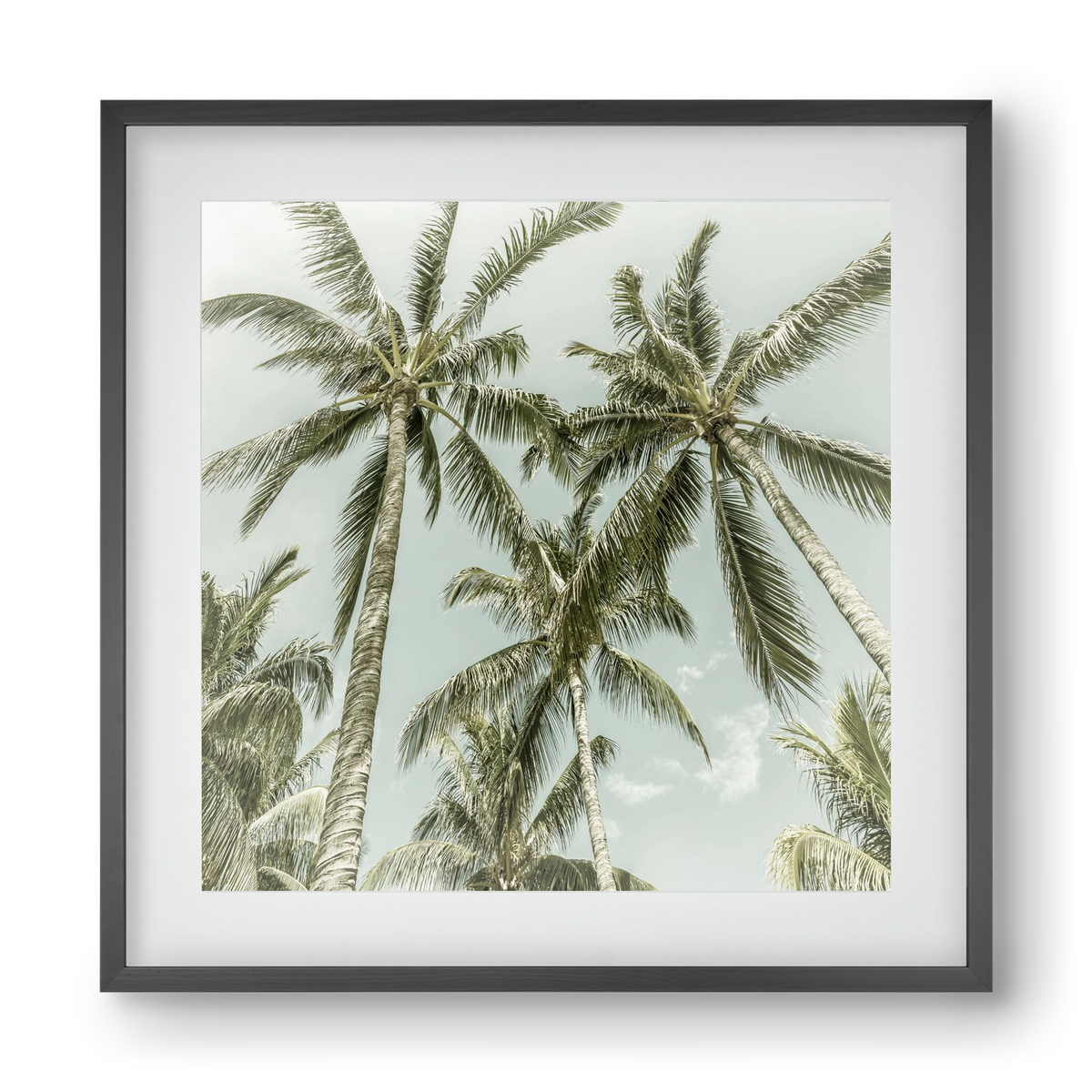 Lovely Palm Trees | Vintage, 40x40 cm (30x30 cm), Fekete keret, paszpartuval