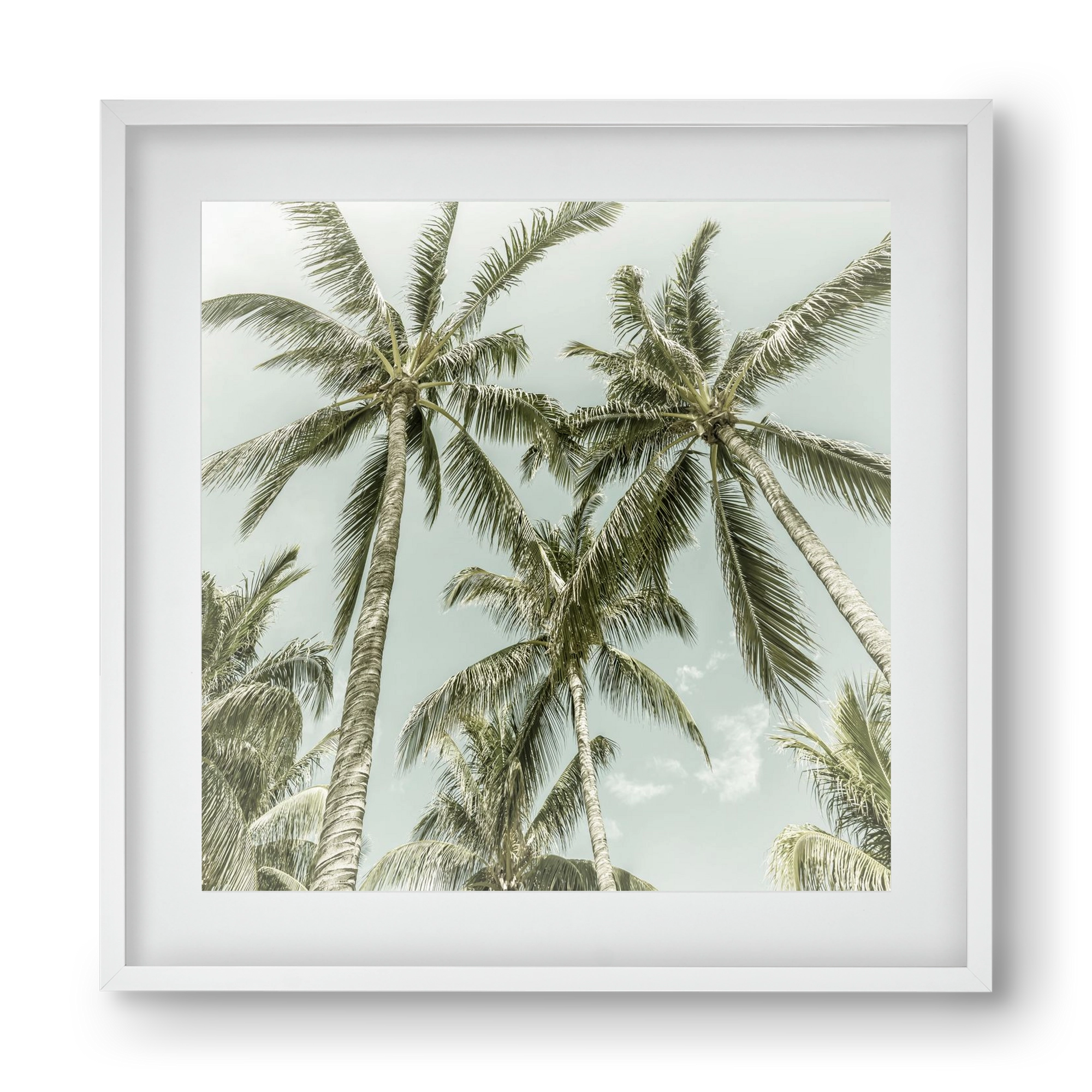 Lovely Palm Trees | Vintage, 40x40 cm (30x30 cm), Fehér keret, paszpartuval