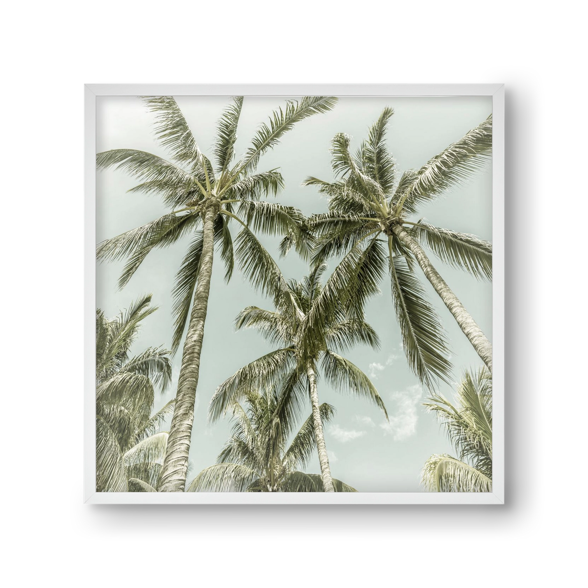 Lovely Palm Trees | Vintage, 30x30 cm (30x30 cm), Fehér keret