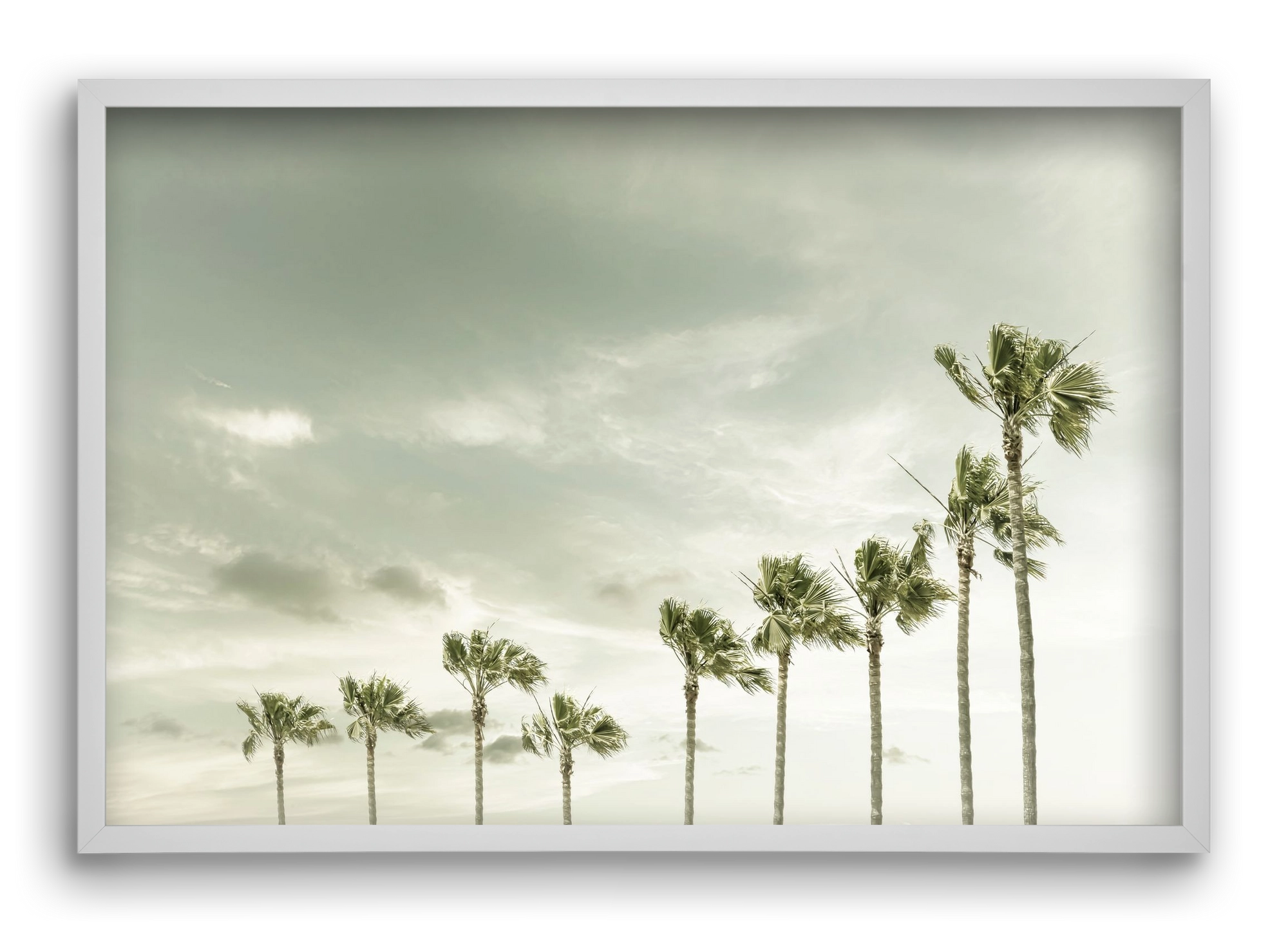 Vintage Palm Trees at the beach , 60x40 cm (60x40 cm), Fehér keret