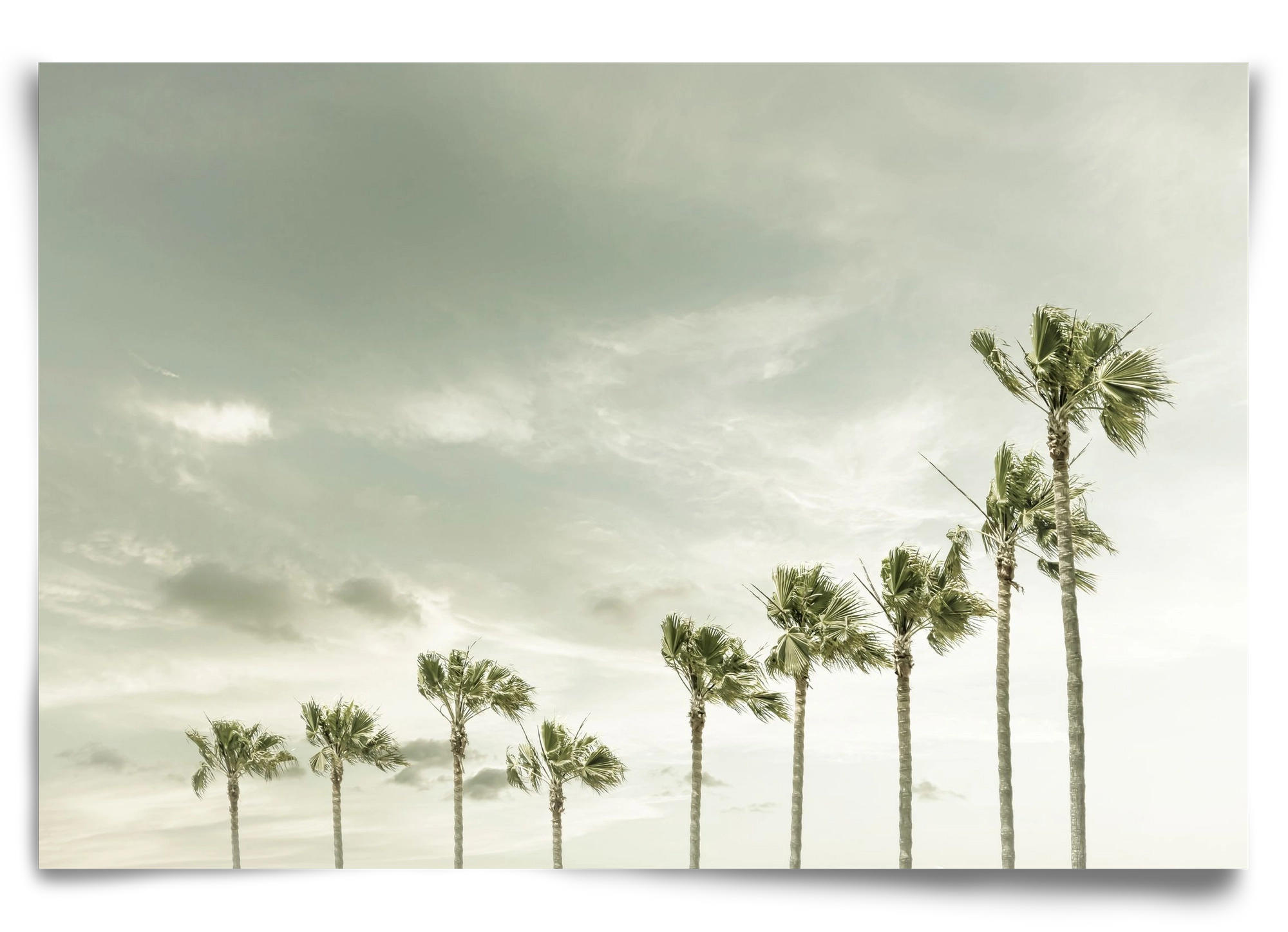 Vintage Palm Trees at the beach , 90x60 cm, Keret nélkül