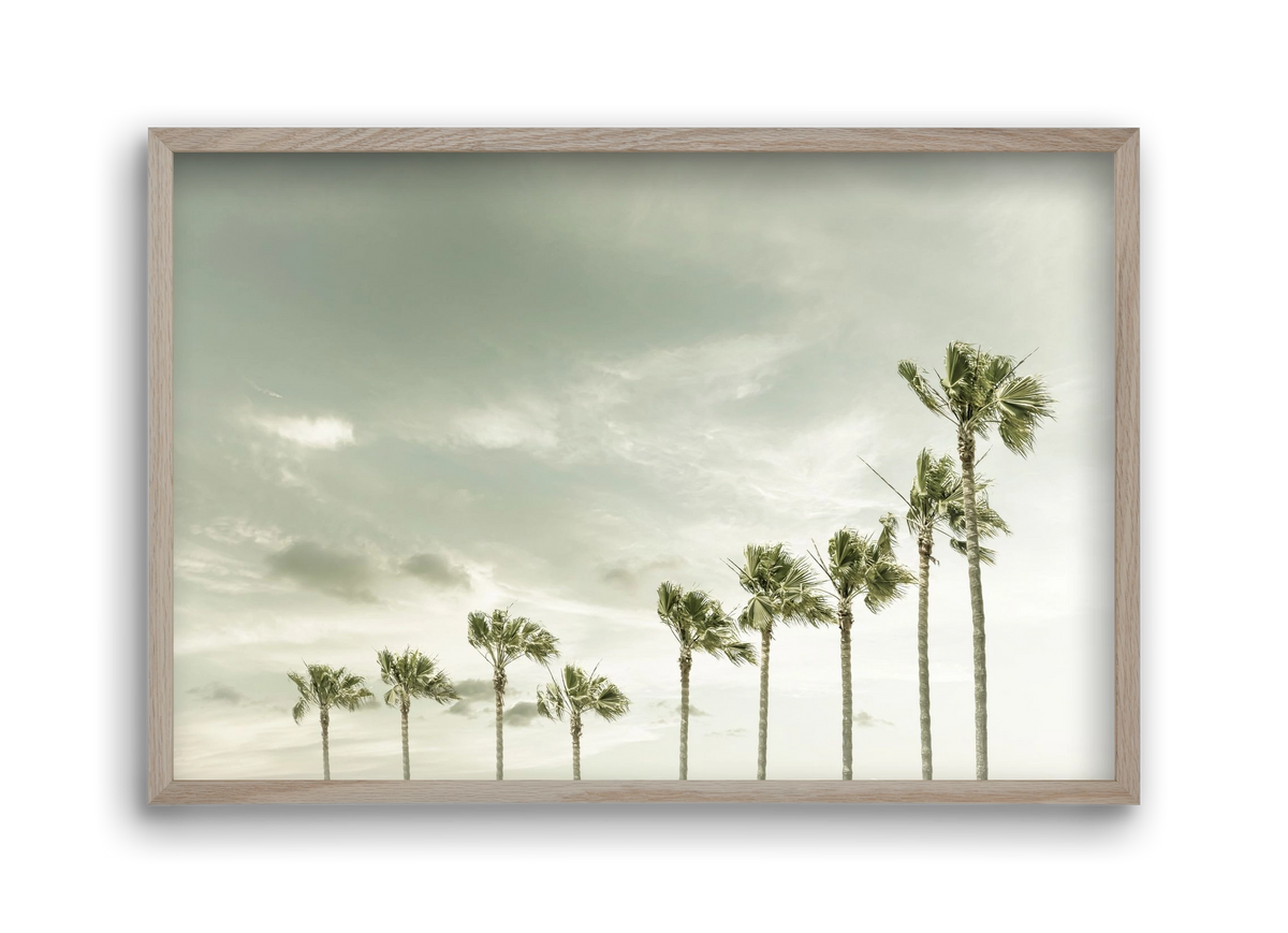 Vintage Palm Trees at the beach , 45x30 cm (45x30 cm), Tölgy keret