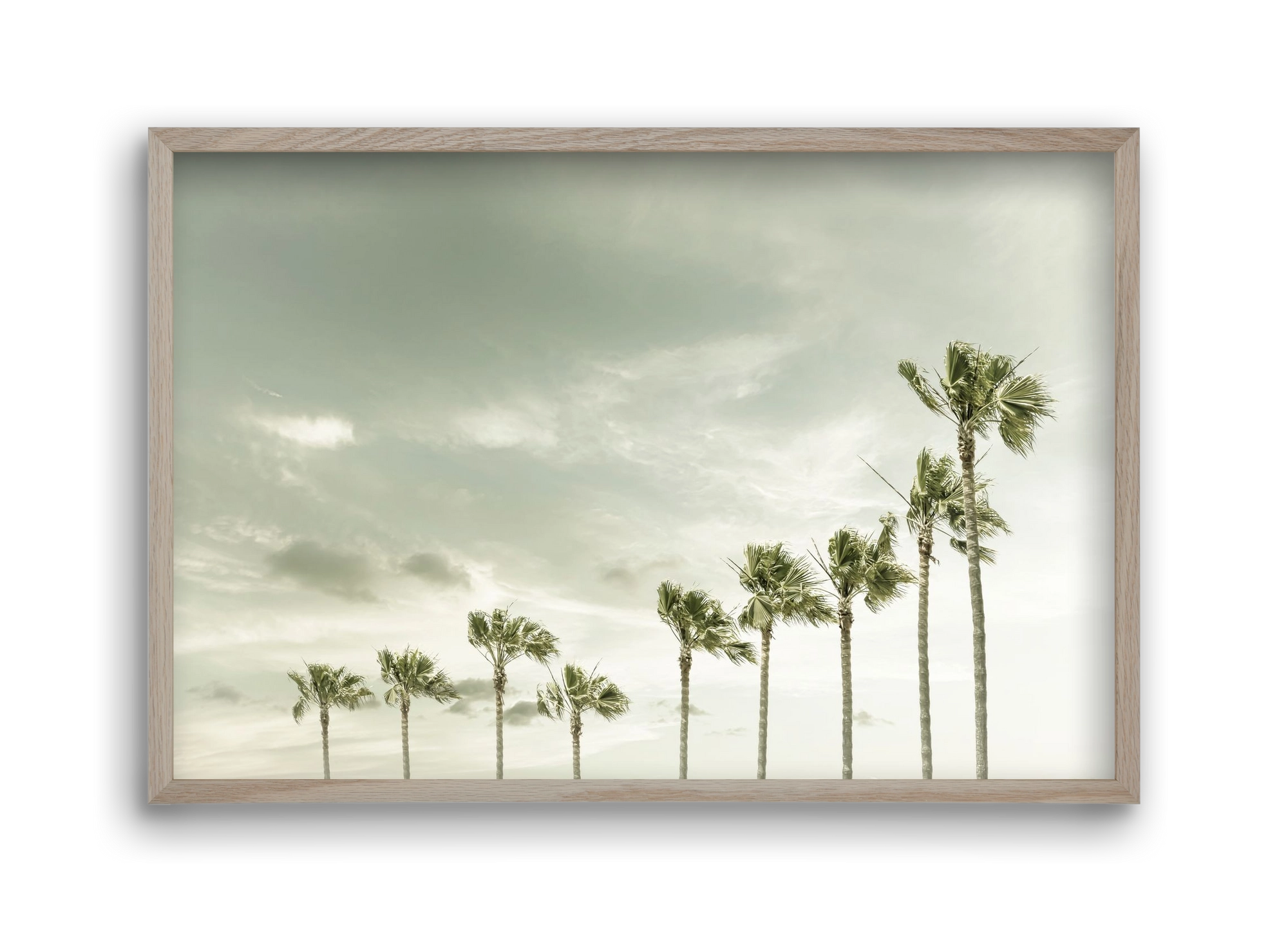 Vintage Palm Trees at the beach , 45x30 cm (45x30 cm), Tölgy keret