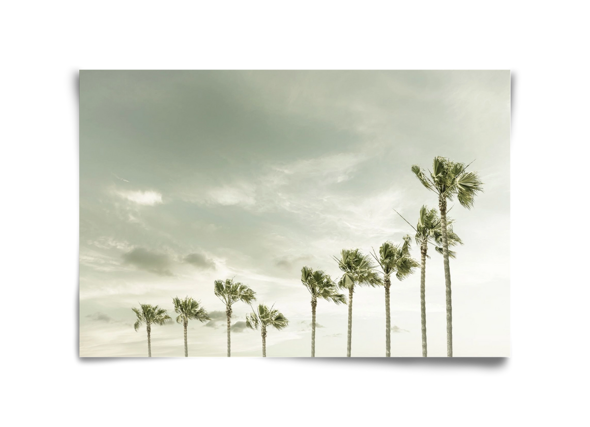 Vintage Palm Trees at the beach , 45x30 cm, Keret nélkül