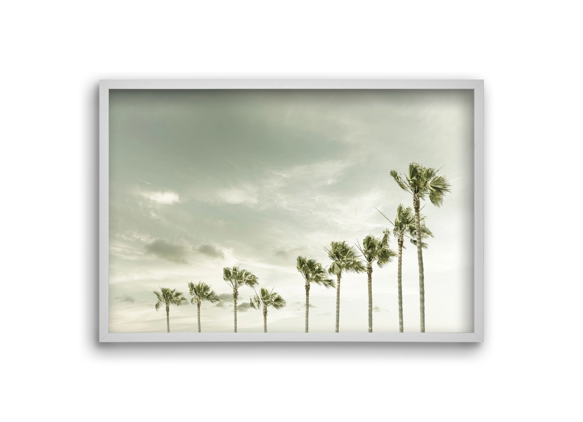 Vintage Palm Trees at the beach , 30x20 cm (30x20 cm), Fehér keret