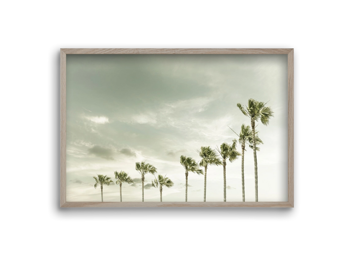 Vintage Palm Trees at the beach , 30x20 cm (30x20 cm), Tölgy keret