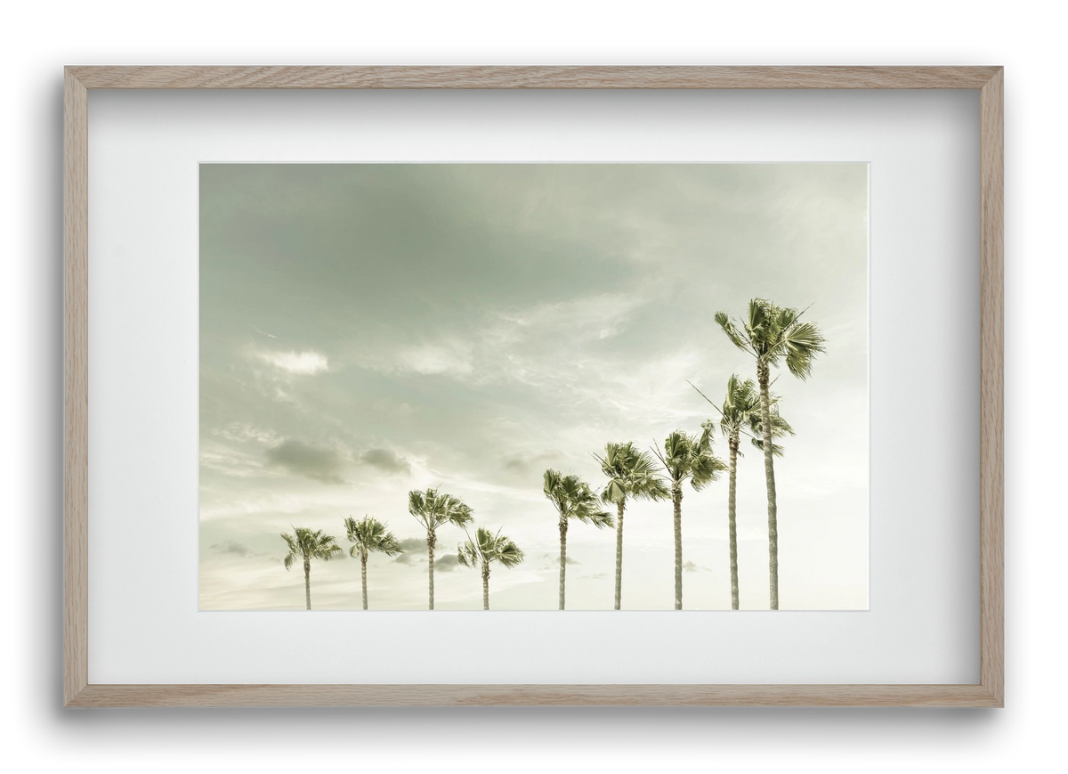 Vintage Palm Trees at the beach , 60x40 cm (45x30 cm), Tölgy keret, paszpartuval