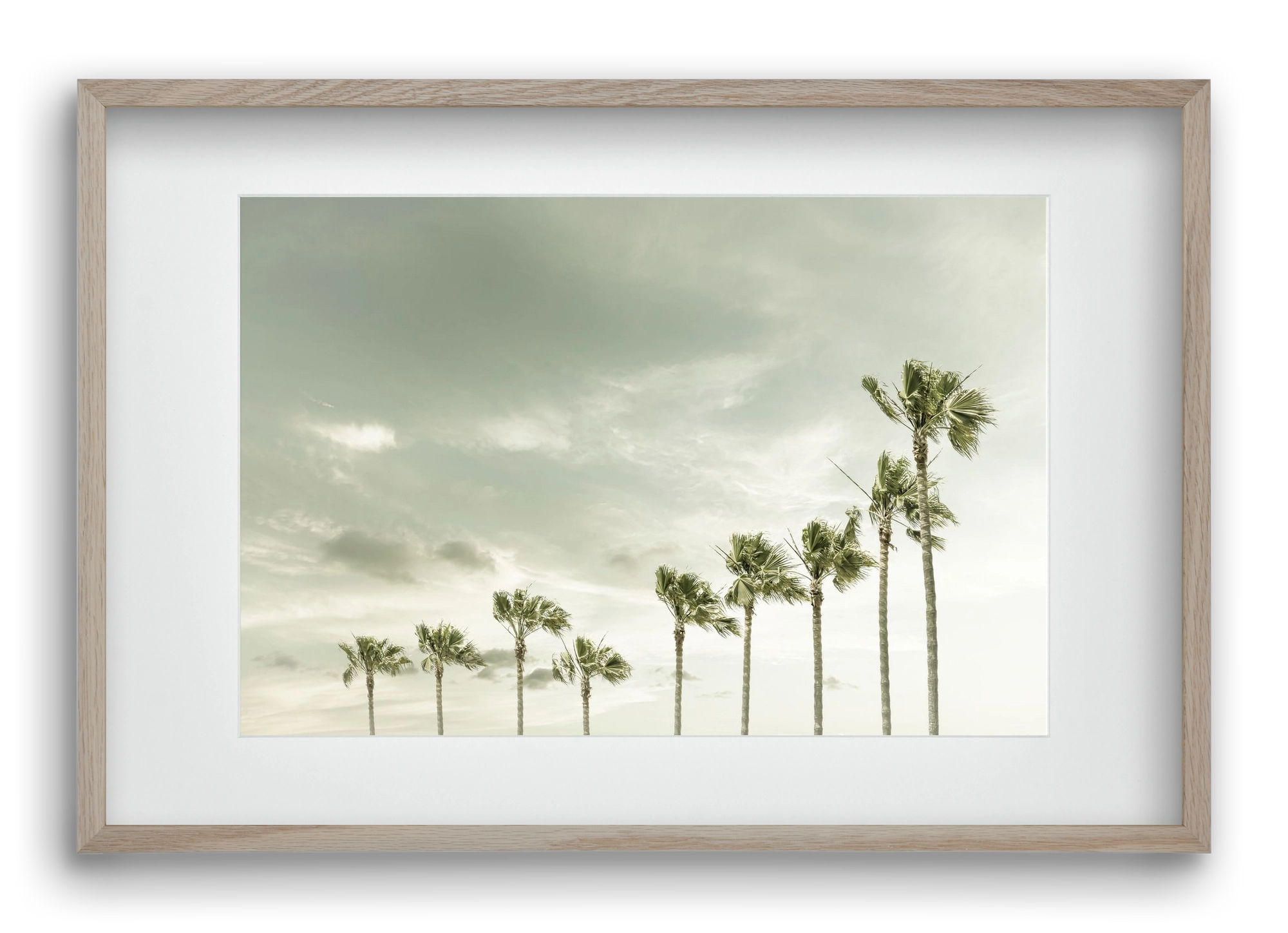 Vintage Palm Trees at the beach , 60x40 cm (45x30 cm), Tölgy keret, paszpartuval