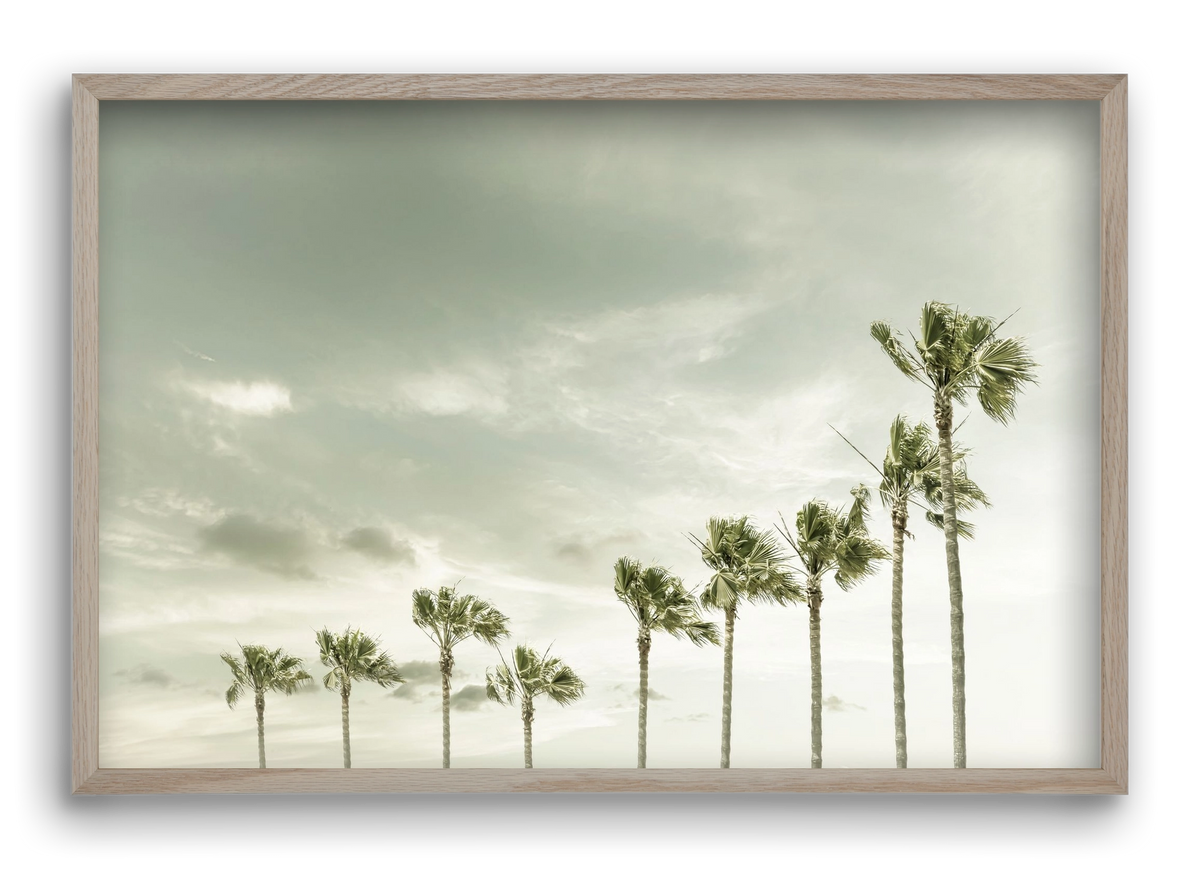 Vintage Palm Trees at the beach , 60x40 cm (60x40 cm), Tölgy keret
