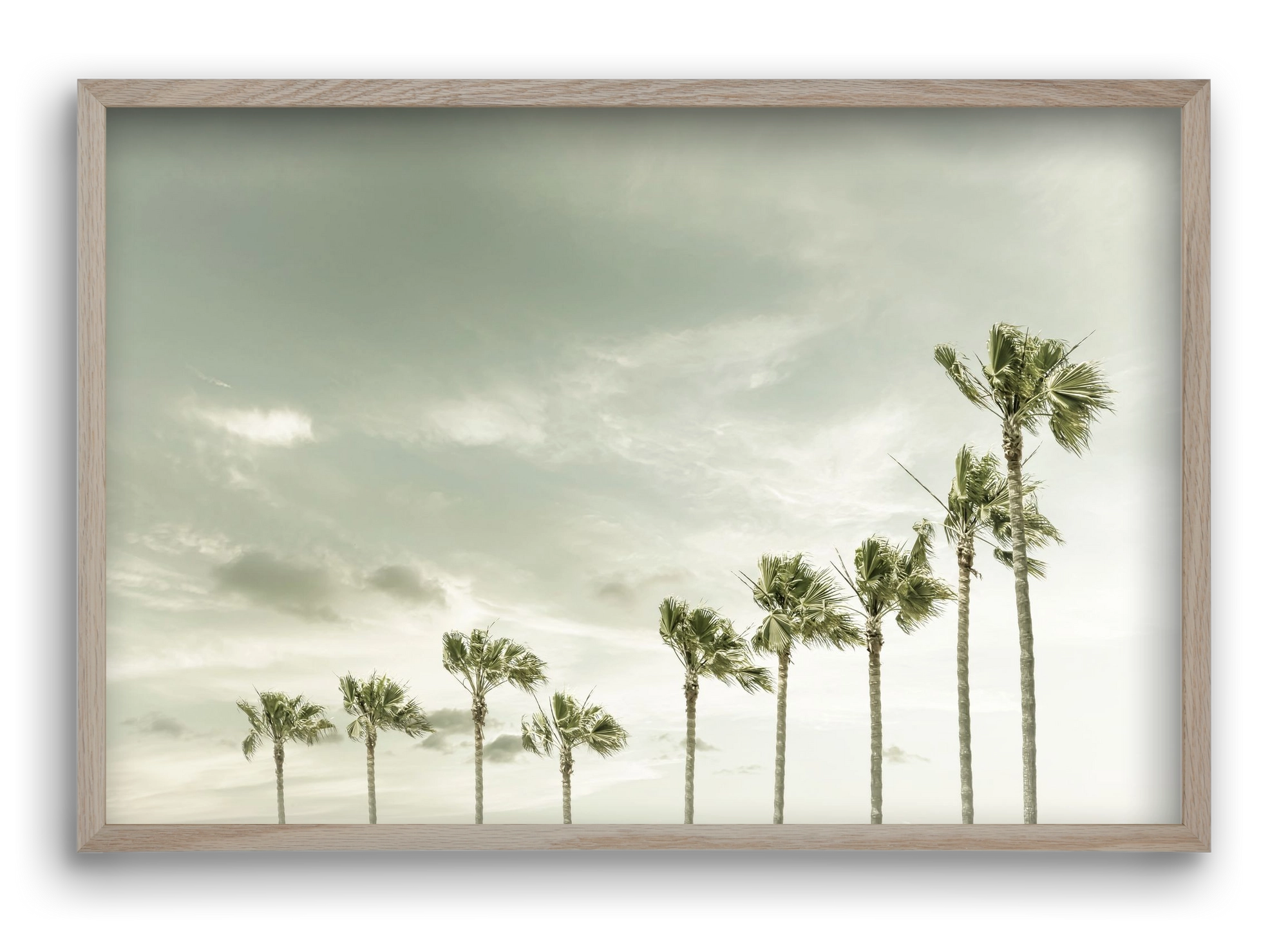 Vintage Palm Trees at the beach , 60x40 cm (60x40 cm), Tölgy keret