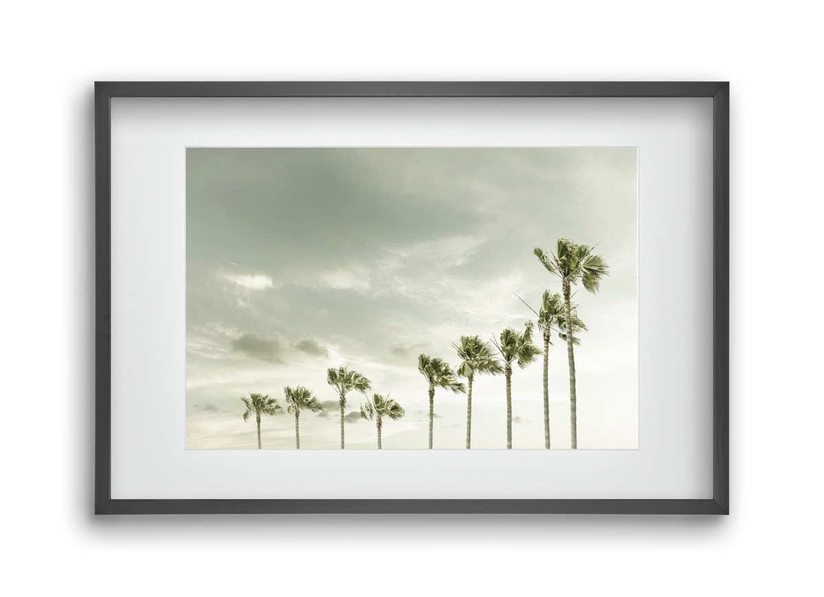 Vintage Palm Trees at the beach , 45x30 cm (30x20 cm), Fekete keret, paszpartuval