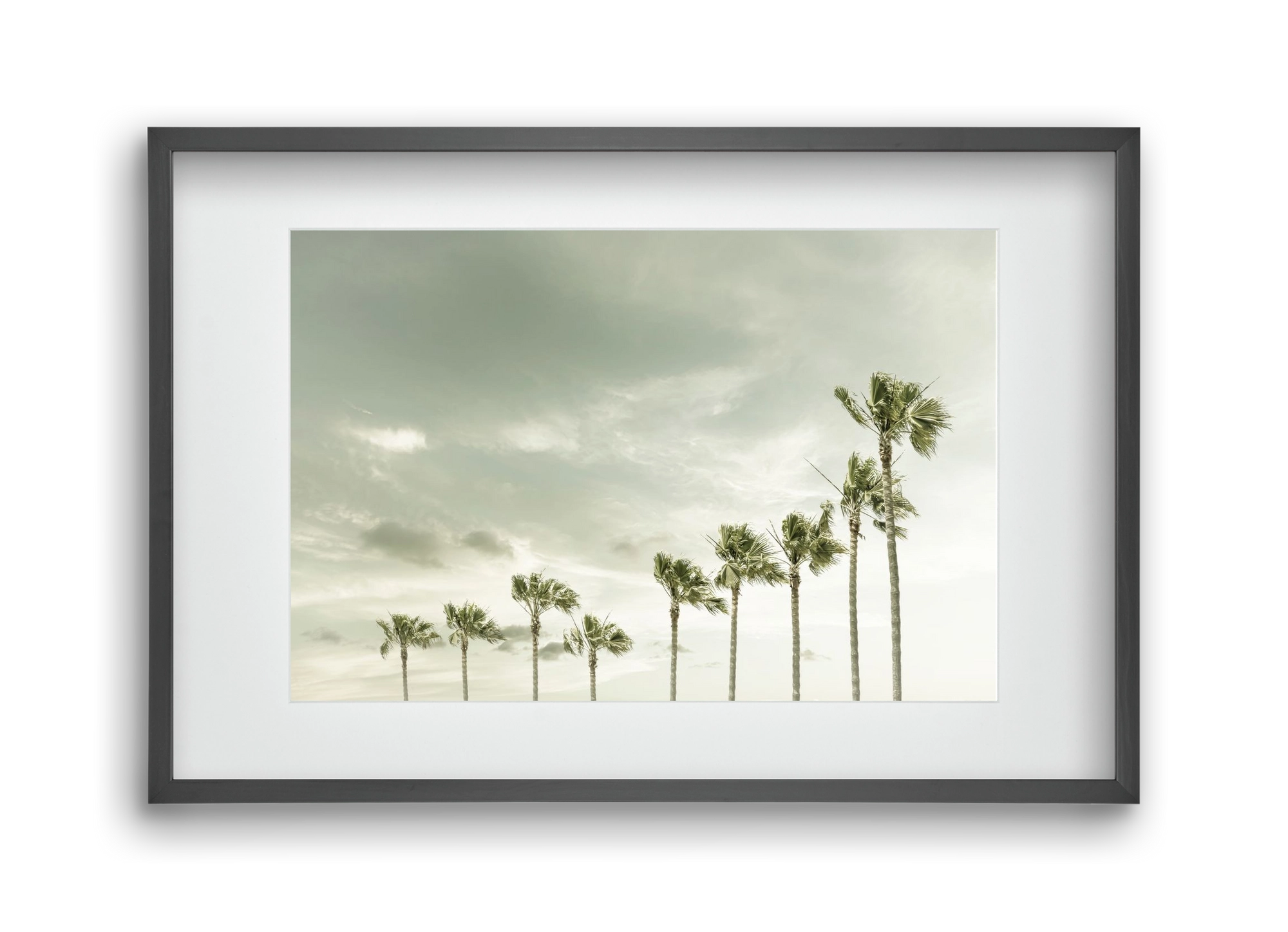 Vintage Palm Trees at the beach , 45x30 cm (30x20 cm), Fekete keret, paszpartuval