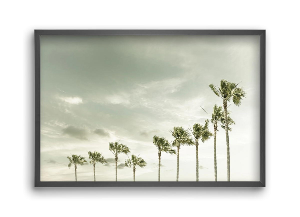 Vintage Palm Trees at the beach , 45x30 cm (45x30 cm), Fekete keret