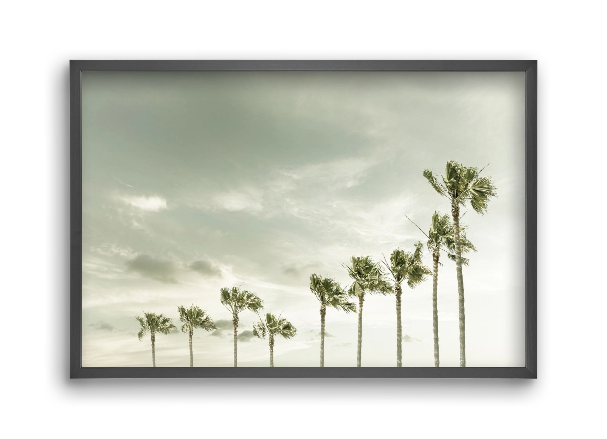 Vintage Palm Trees at the beach , 45x30 cm (45x30 cm), Fekete keret