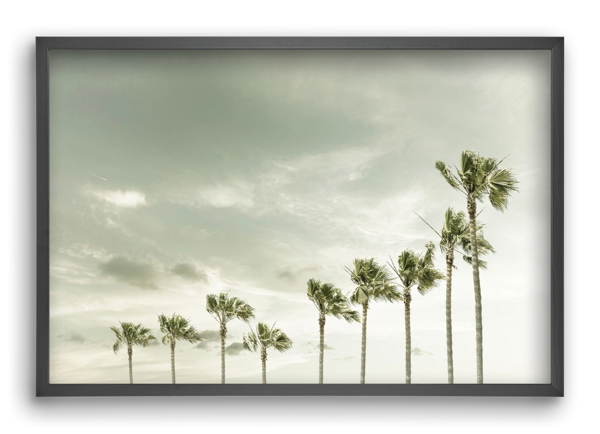 Vintage Palm Trees at the beach , 60x40 cm (60x40 cm), Fekete keret