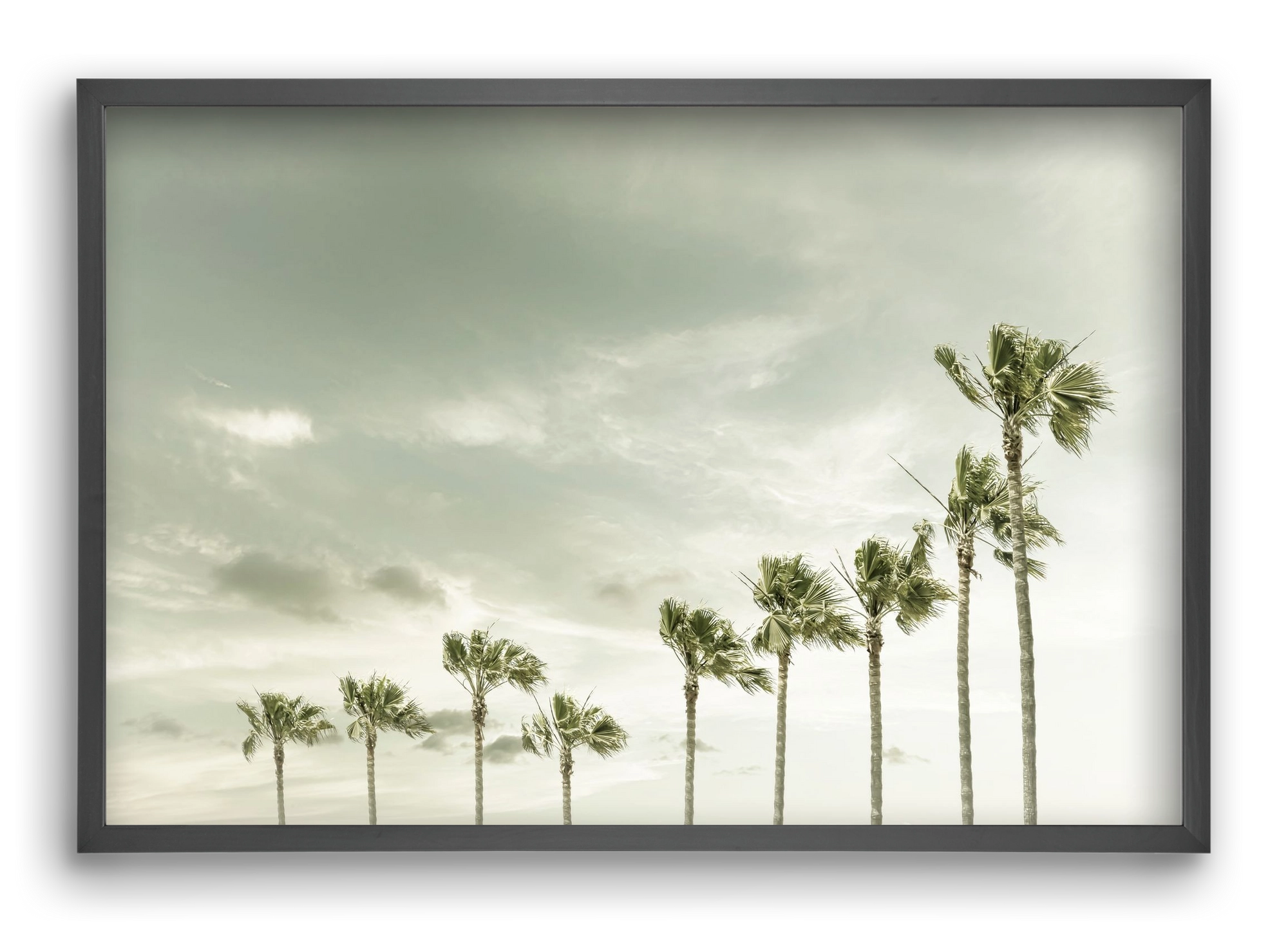 Vintage Palm Trees at the beach , 60x40 cm (60x40 cm), Fekete keret