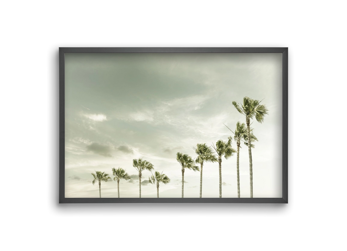 Vintage Palm Trees at the beach , 30x20 cm (30x20 cm), Fekete keret