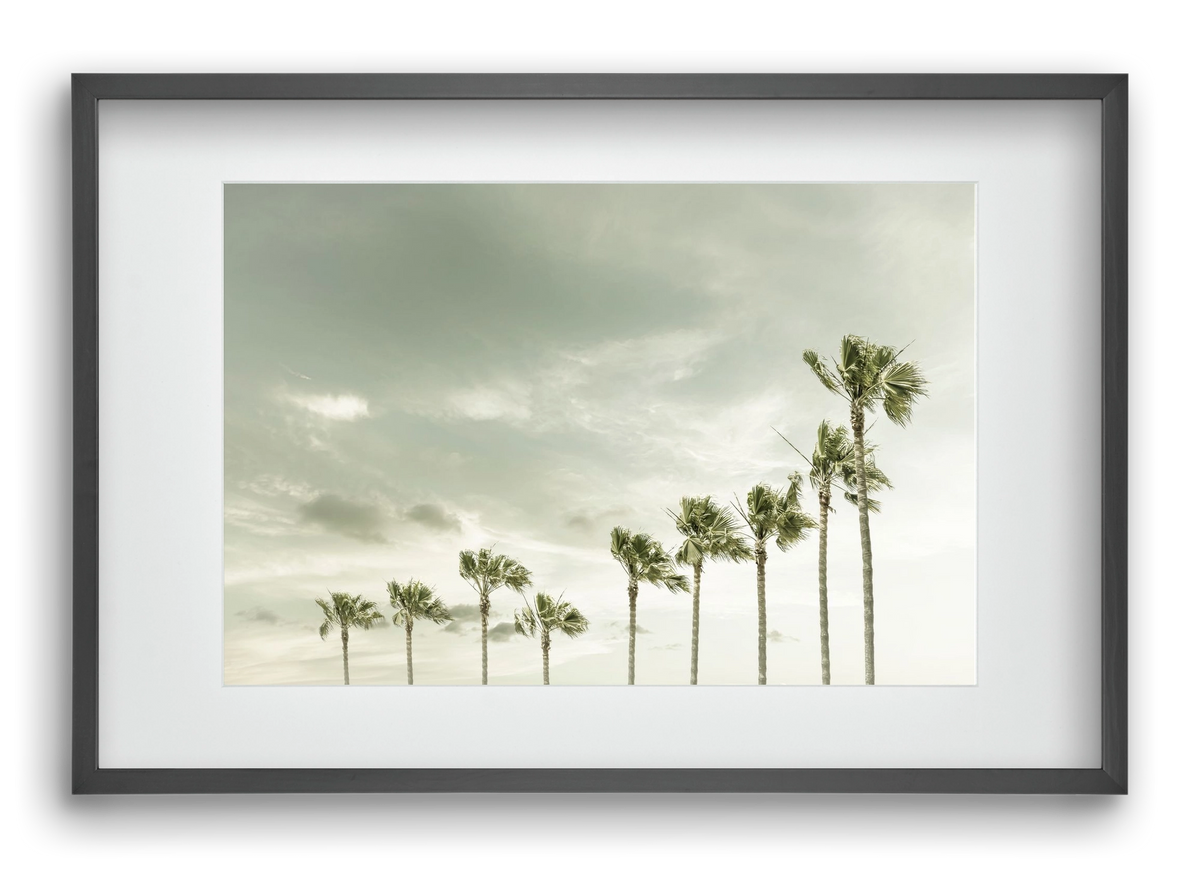Vintage Palm Trees at the beach , 60x40 cm (45x30 cm), Fekete keret, paszpartuval