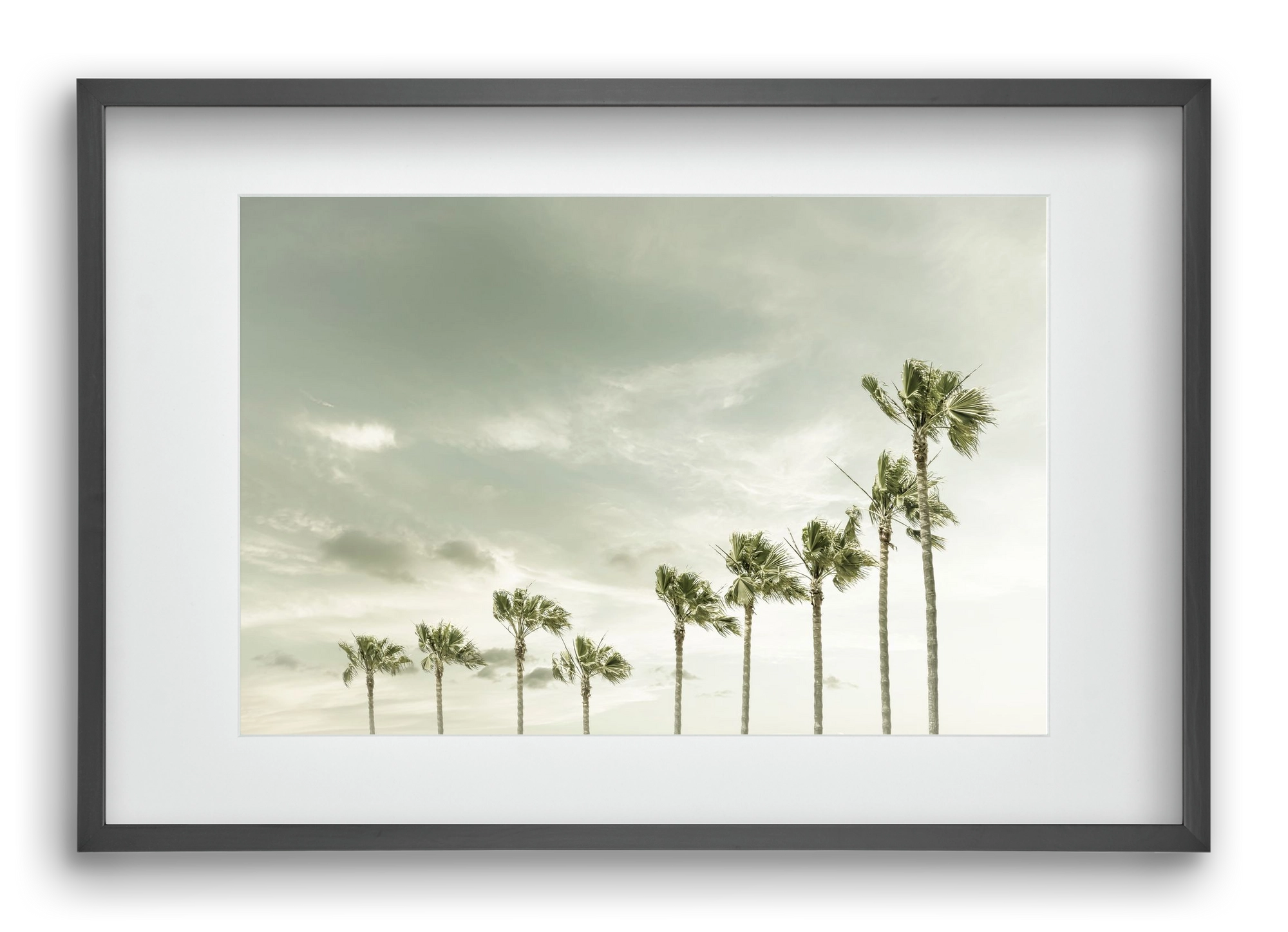 Vintage Palm Trees at the beach , 60x40 cm (45x30 cm), Fekete keret, paszpartuval
