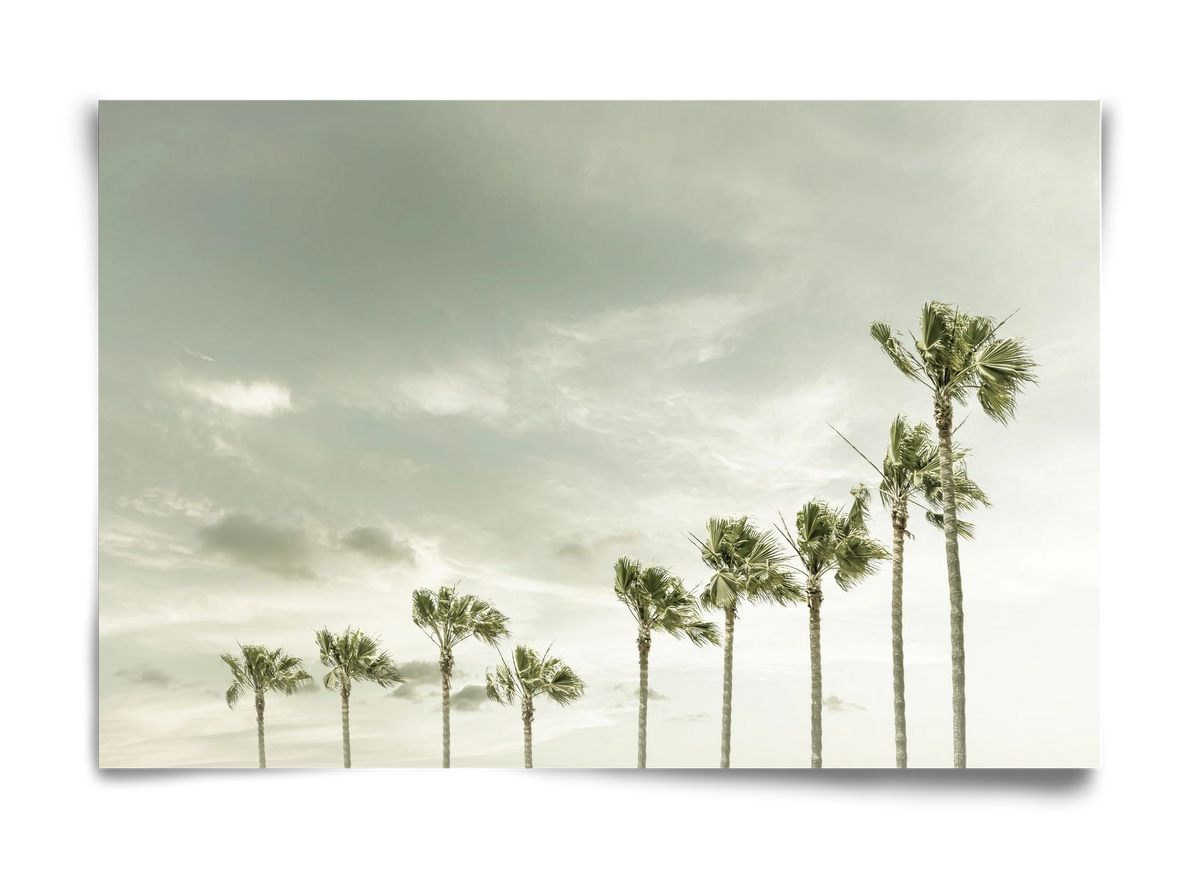 Vintage Palm Trees at the beach , 60x40 cm, Keret nélkül