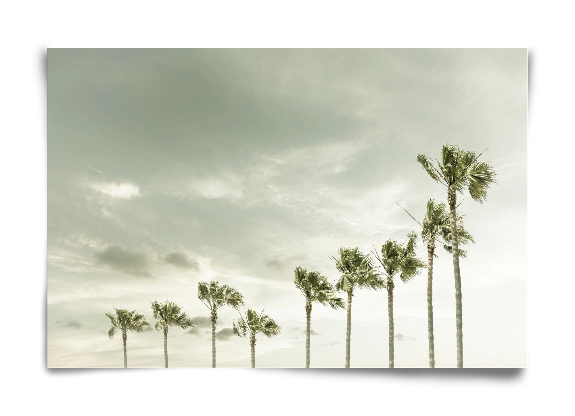 Vintage Palm Trees at the beach , 60x40 cm, Keret nélkül
