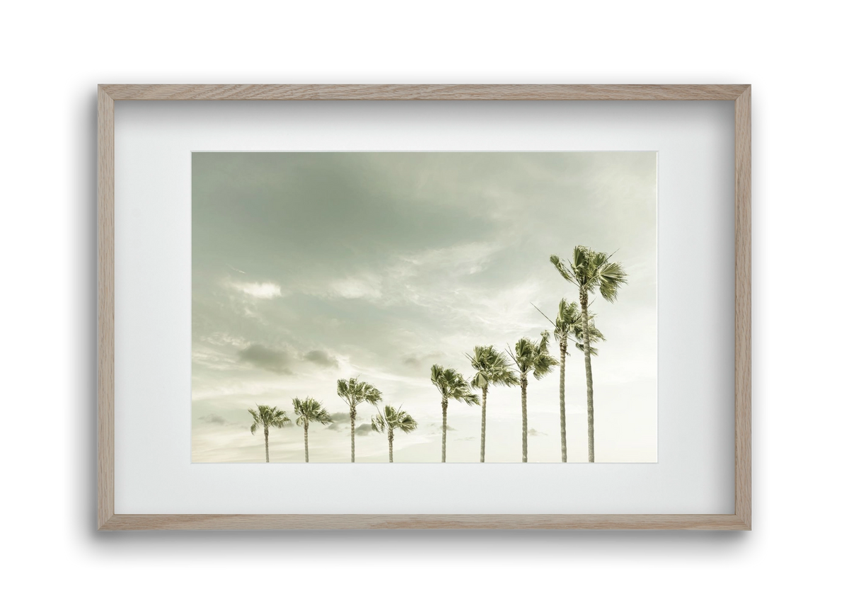 Vintage Palm Trees at the beach , 45x30 cm (30x20 cm), Tölgy keret, paszpartuval