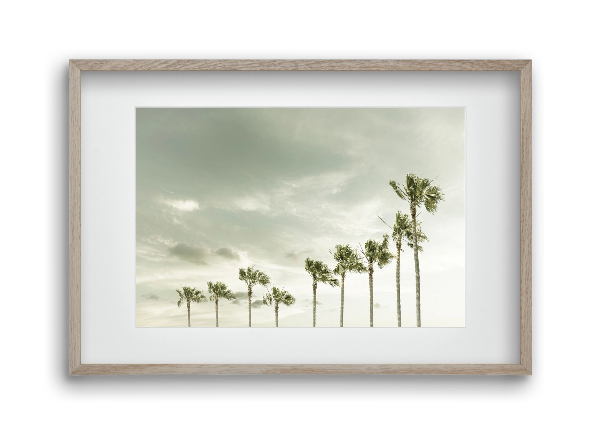 Vintage Palm Trees at the beach , 45x30 cm (30x20 cm), Tölgy keret, paszpartuval