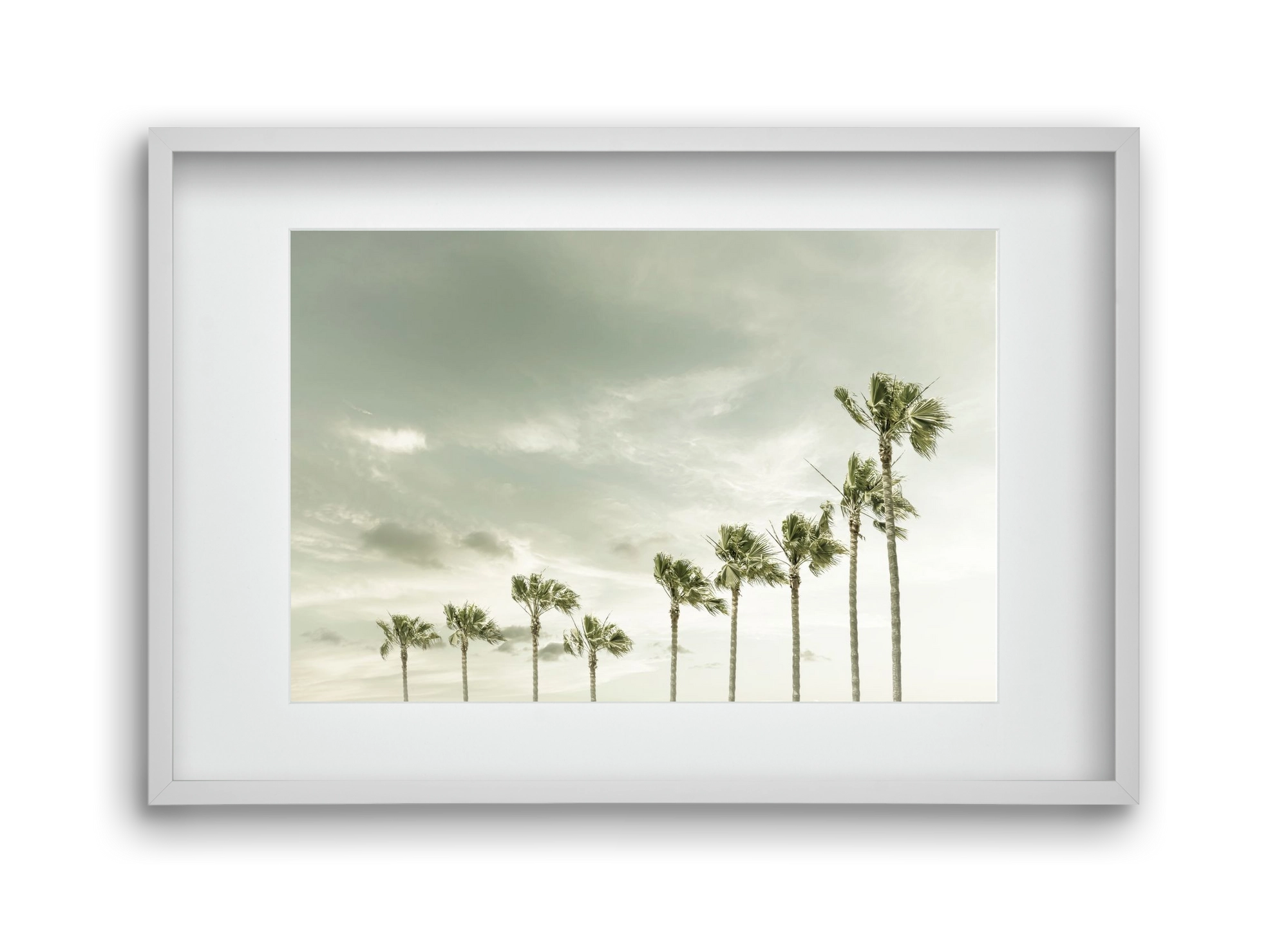 Vintage Palm Trees at the beach , 45x30 cm (30x20 cm), Fehér keret, paszpartuval