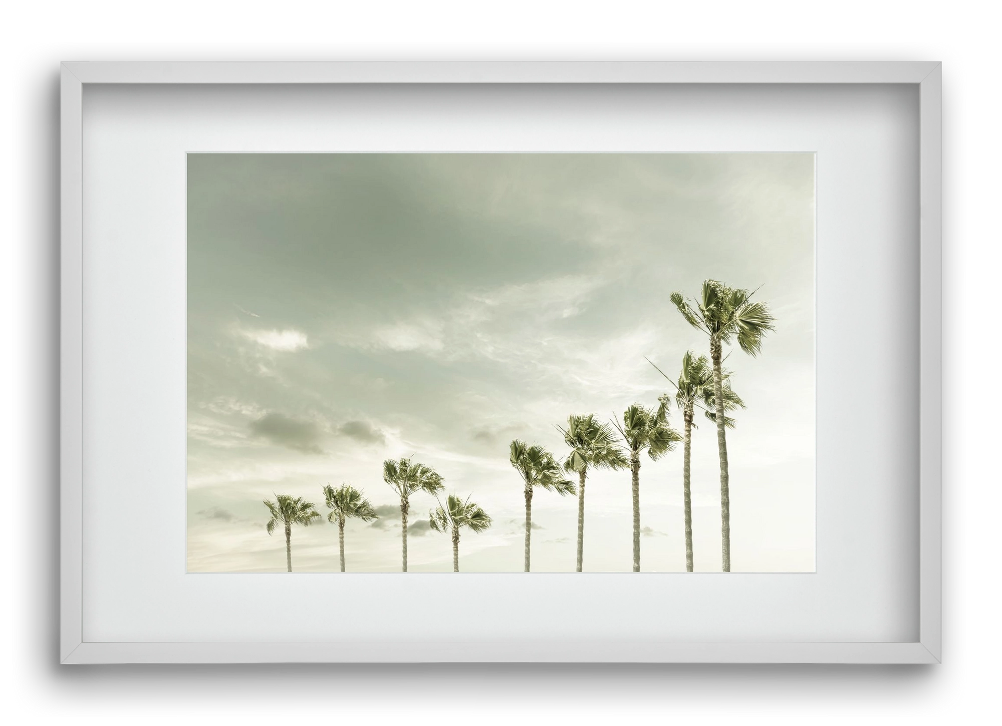 Vintage Palm Trees at the beach , 60x40 cm (45x30 cm), Fehér keret, paszpartuval