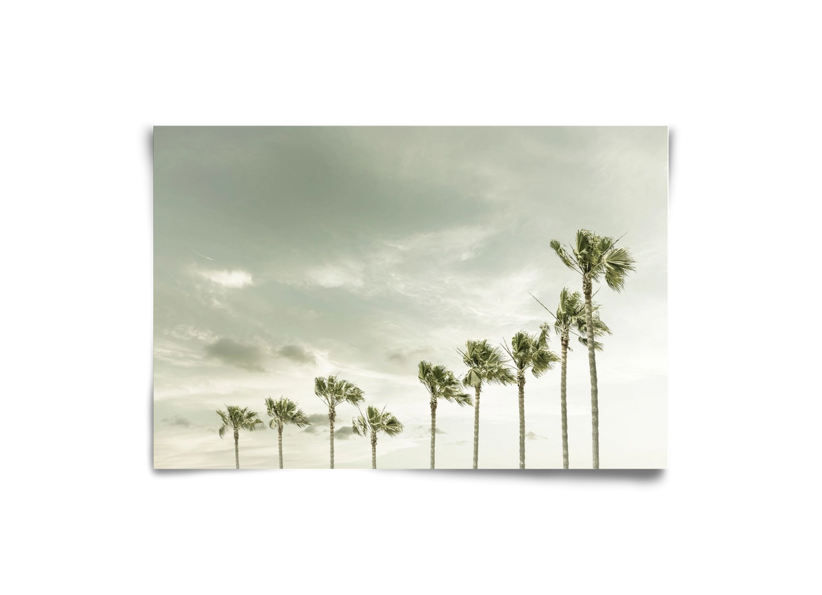 Vintage Palm Trees at the beach , 30x20 cm, Keret nélkül