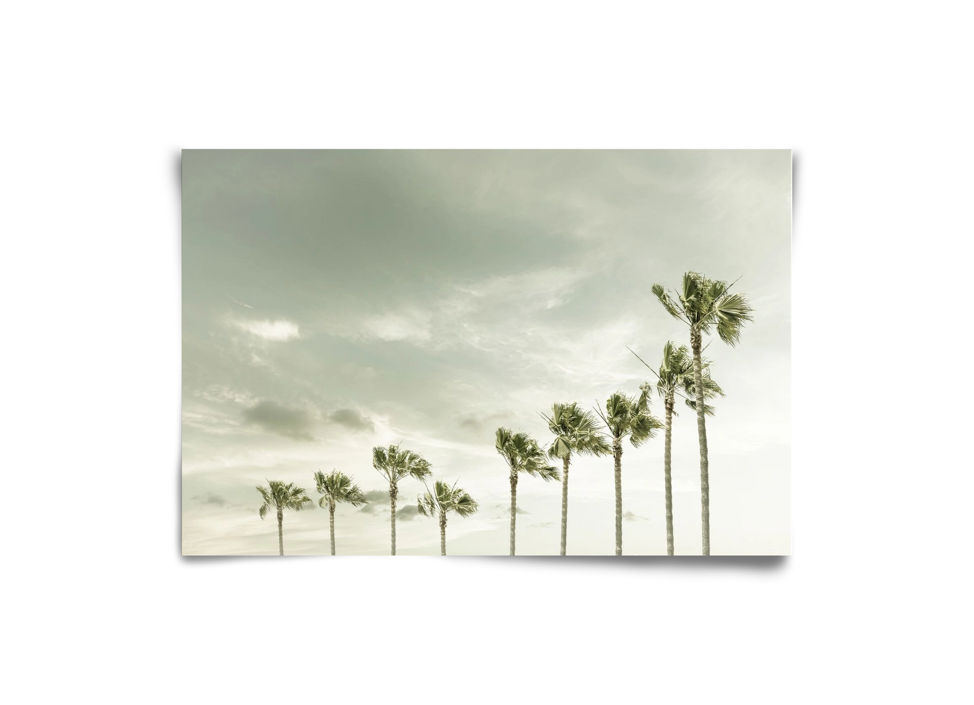 Vintage Palm Trees at the beach , 30x20 cm, Keret nélkül