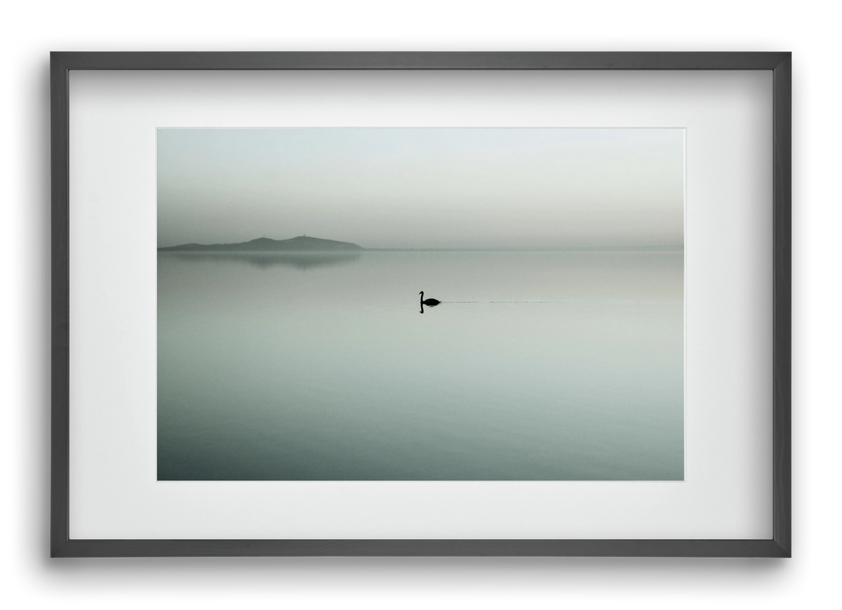 Helix, 60x40 cm (45x30 cm), Fekete keret, paszpartuval